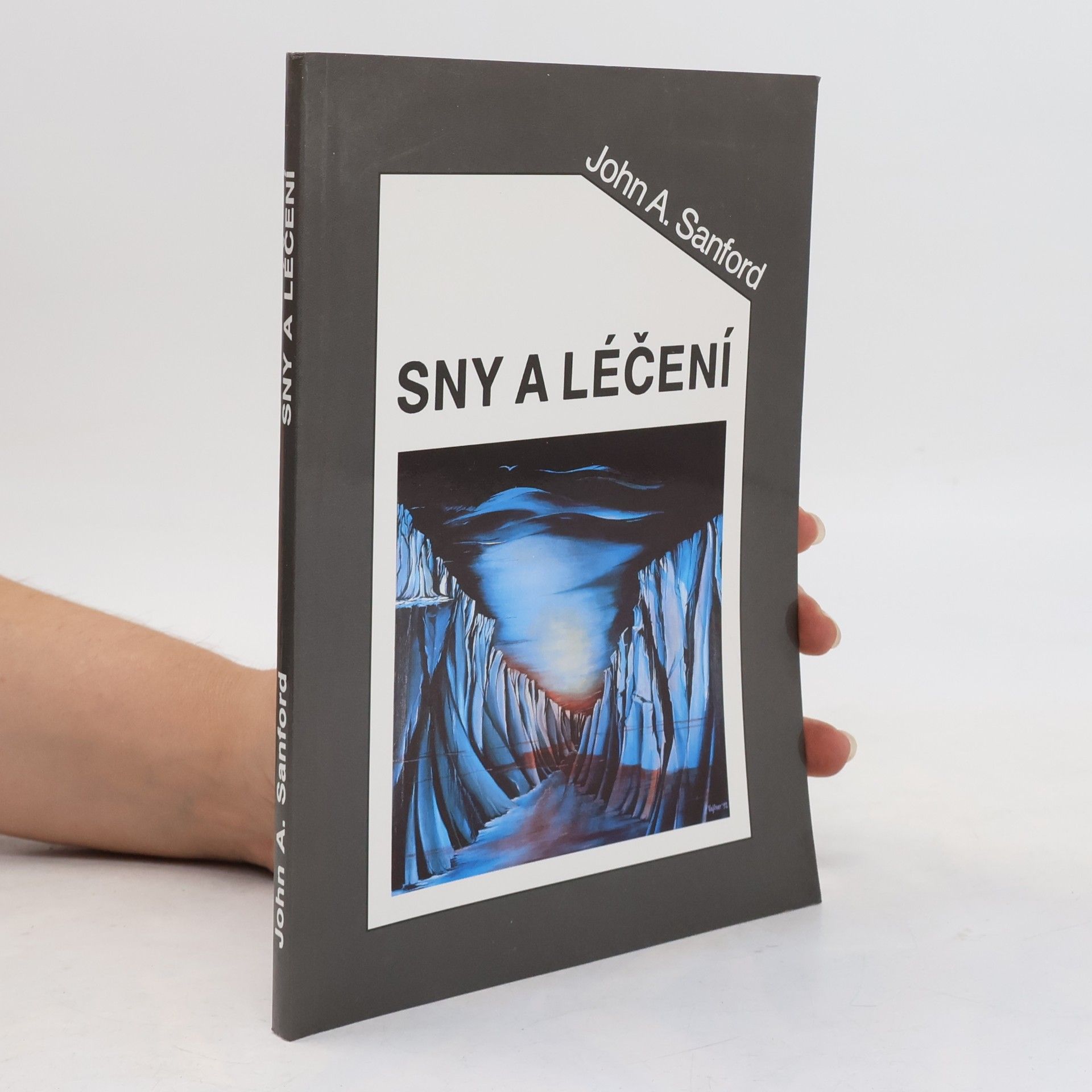 Sny a léčení. Stručný a živý výklad snů