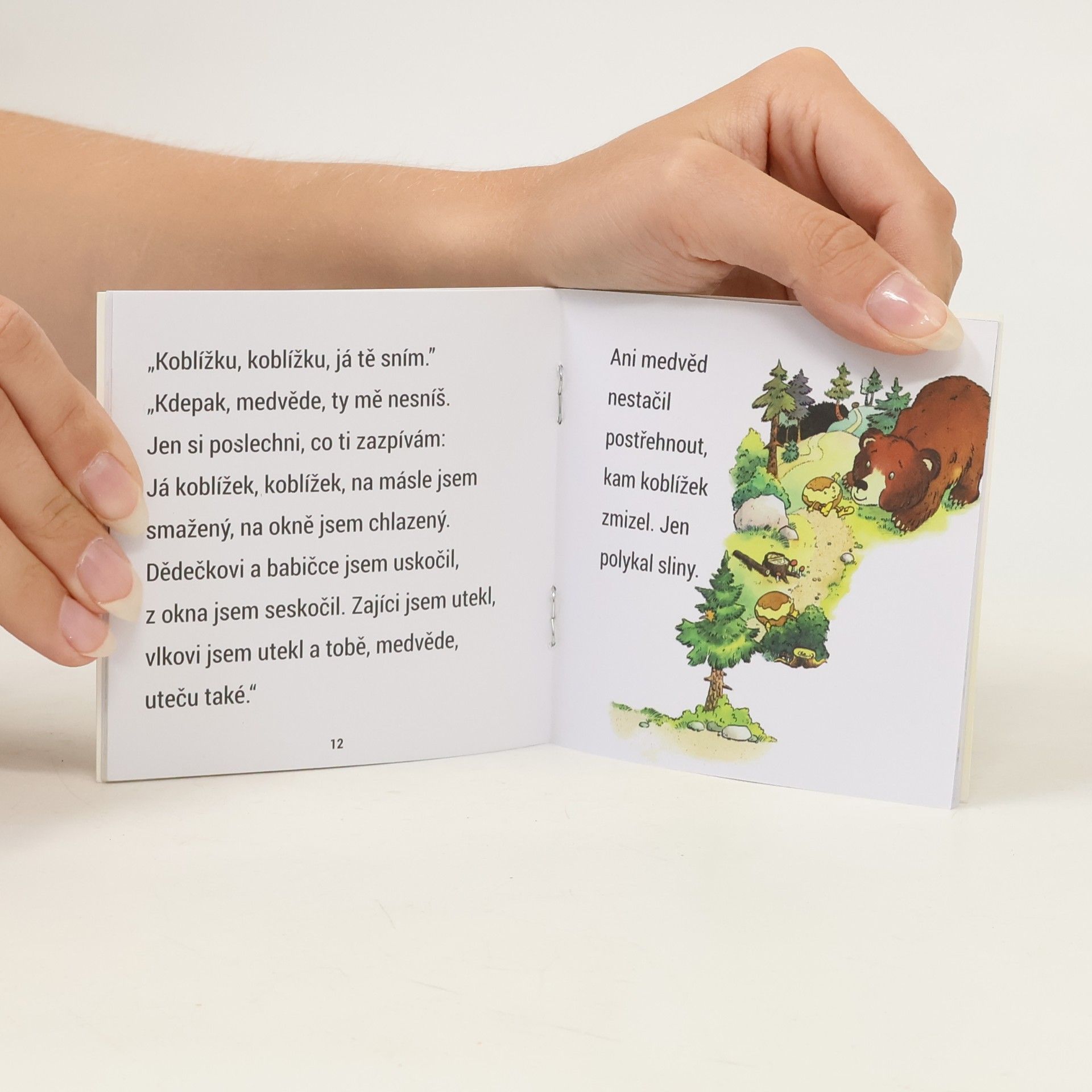Kolektiv autorů O Koblížkovi