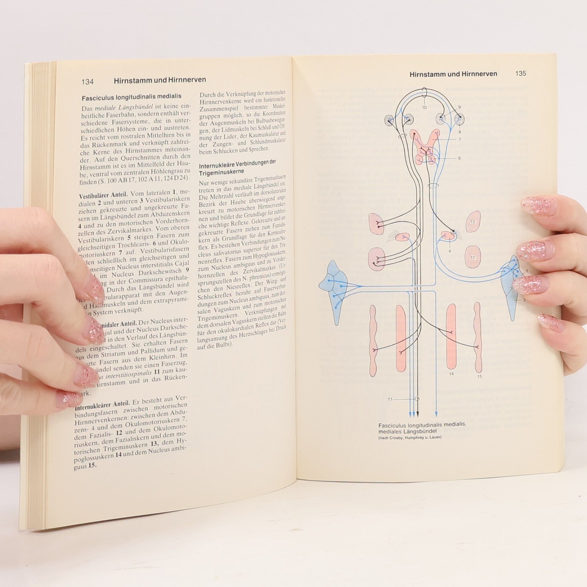Various authors dtv-Atlas der Anatomie 3