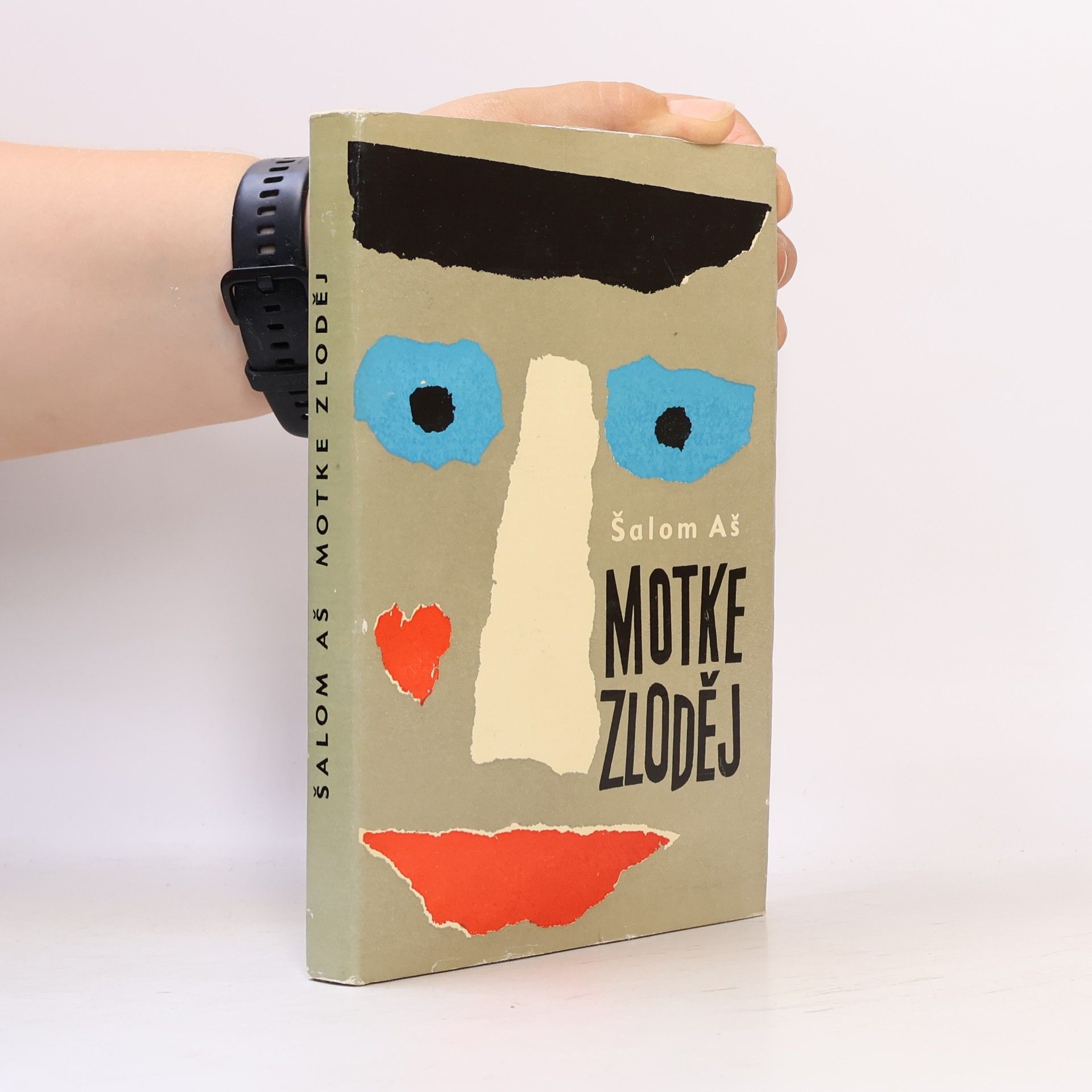 Motke zloděj