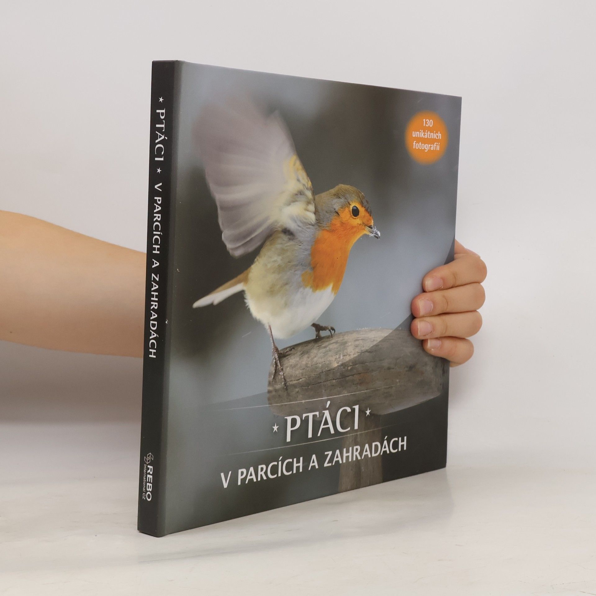 Arno Ten Hoeve Ptáci v parcích a zahradách