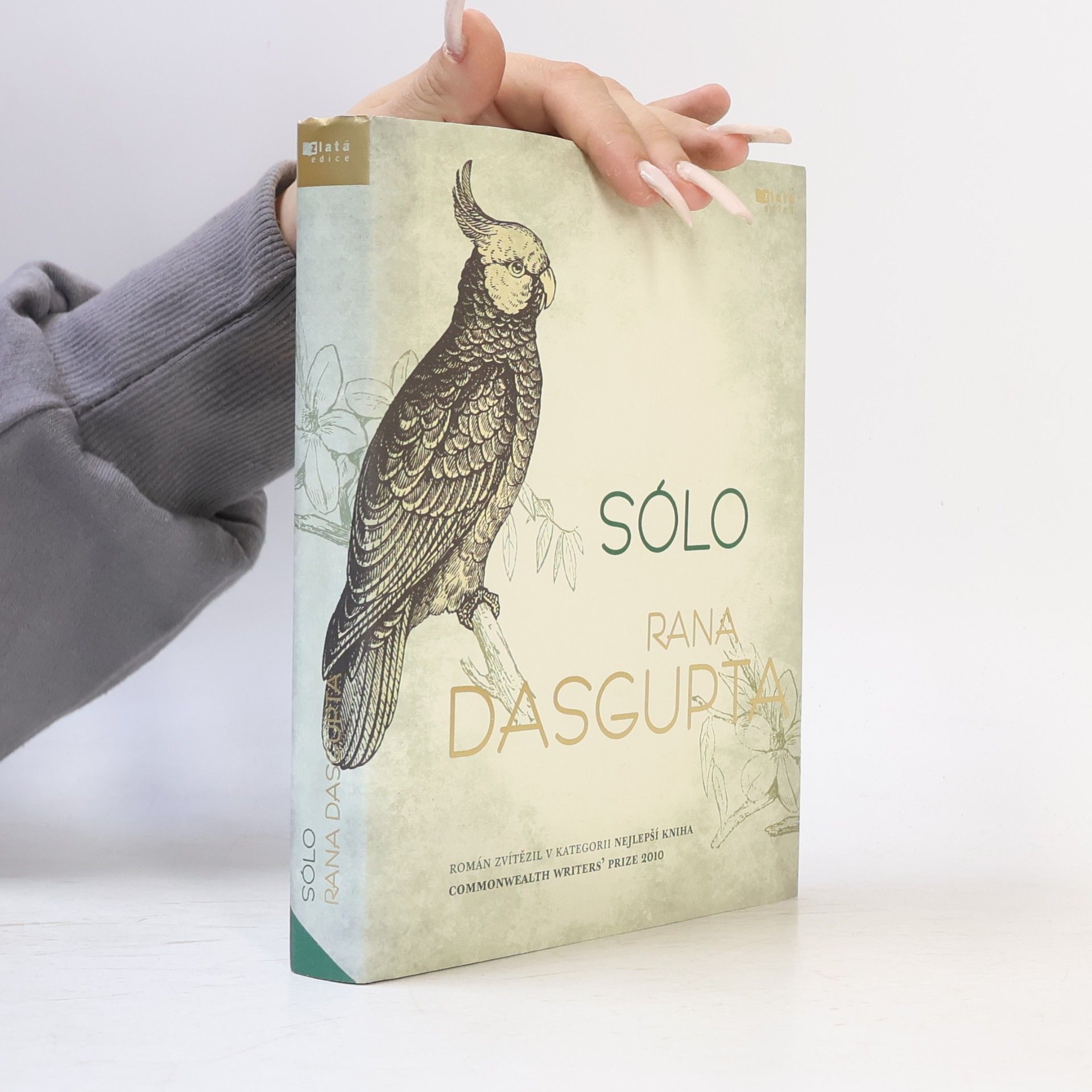 Rana Dasgupta Sólo