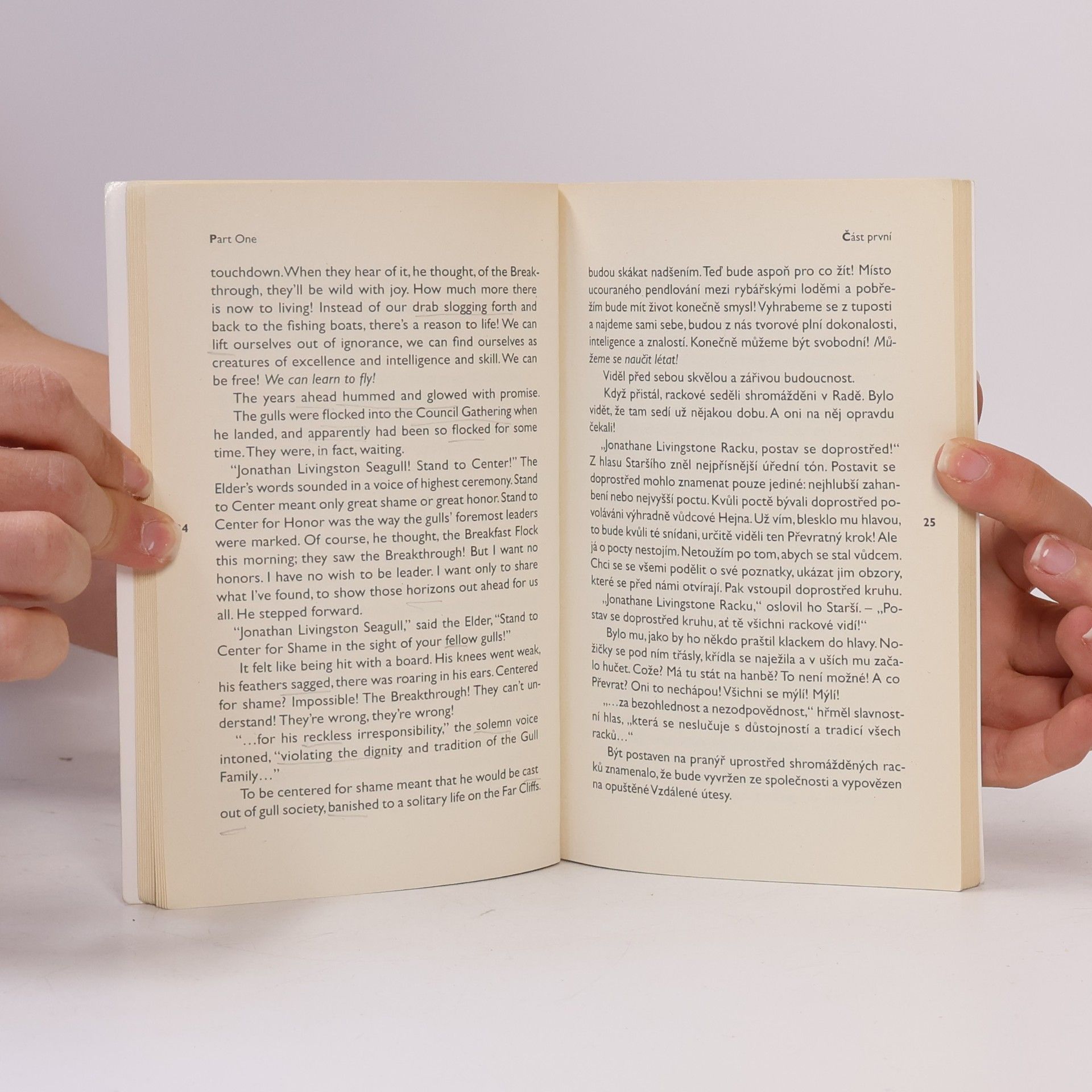 Richard Bach Racek/Seagull