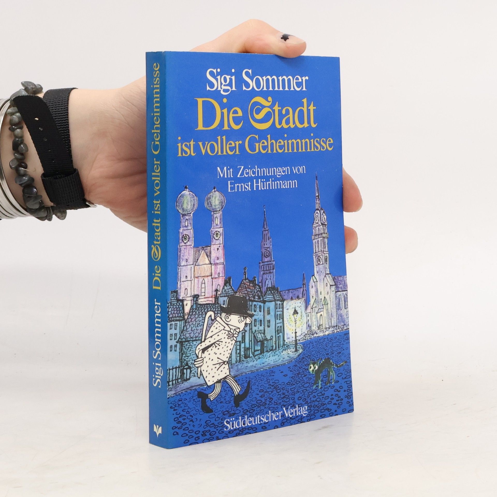 Siegfried Sommer Die Stadt ist voller Geheimnisse