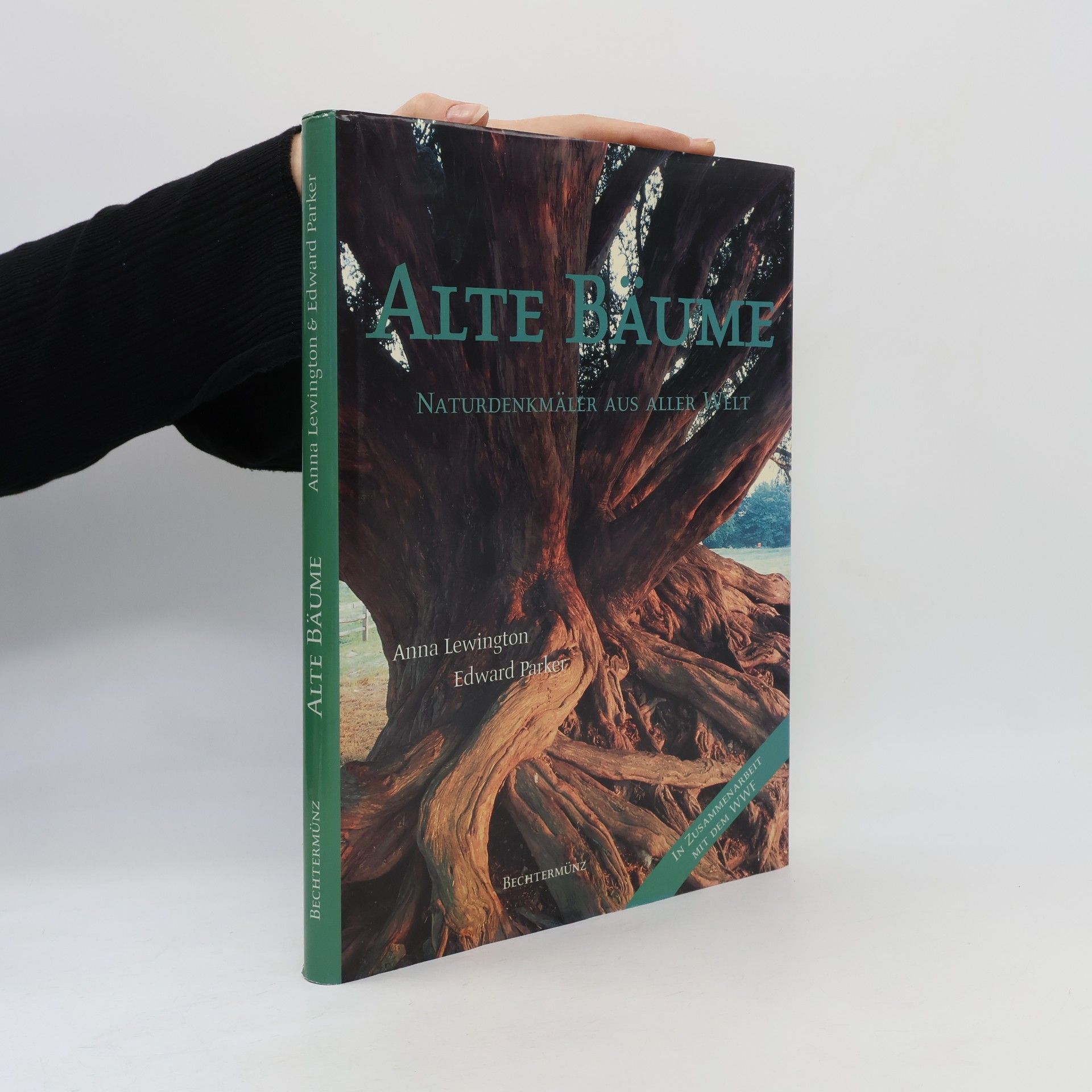 Anna Lewington Alte Bäume