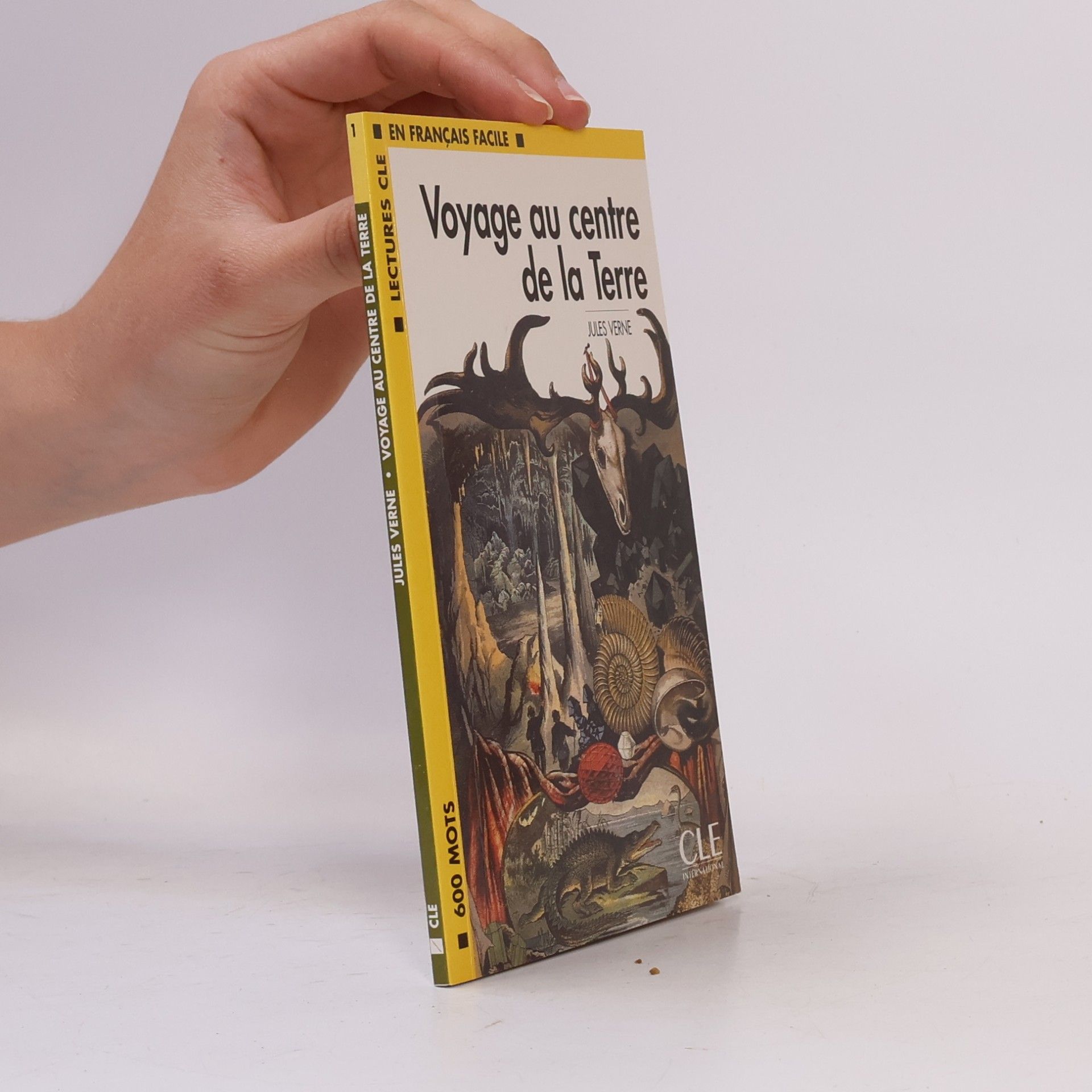 Jules Verne Voyage au centre de la Terre
