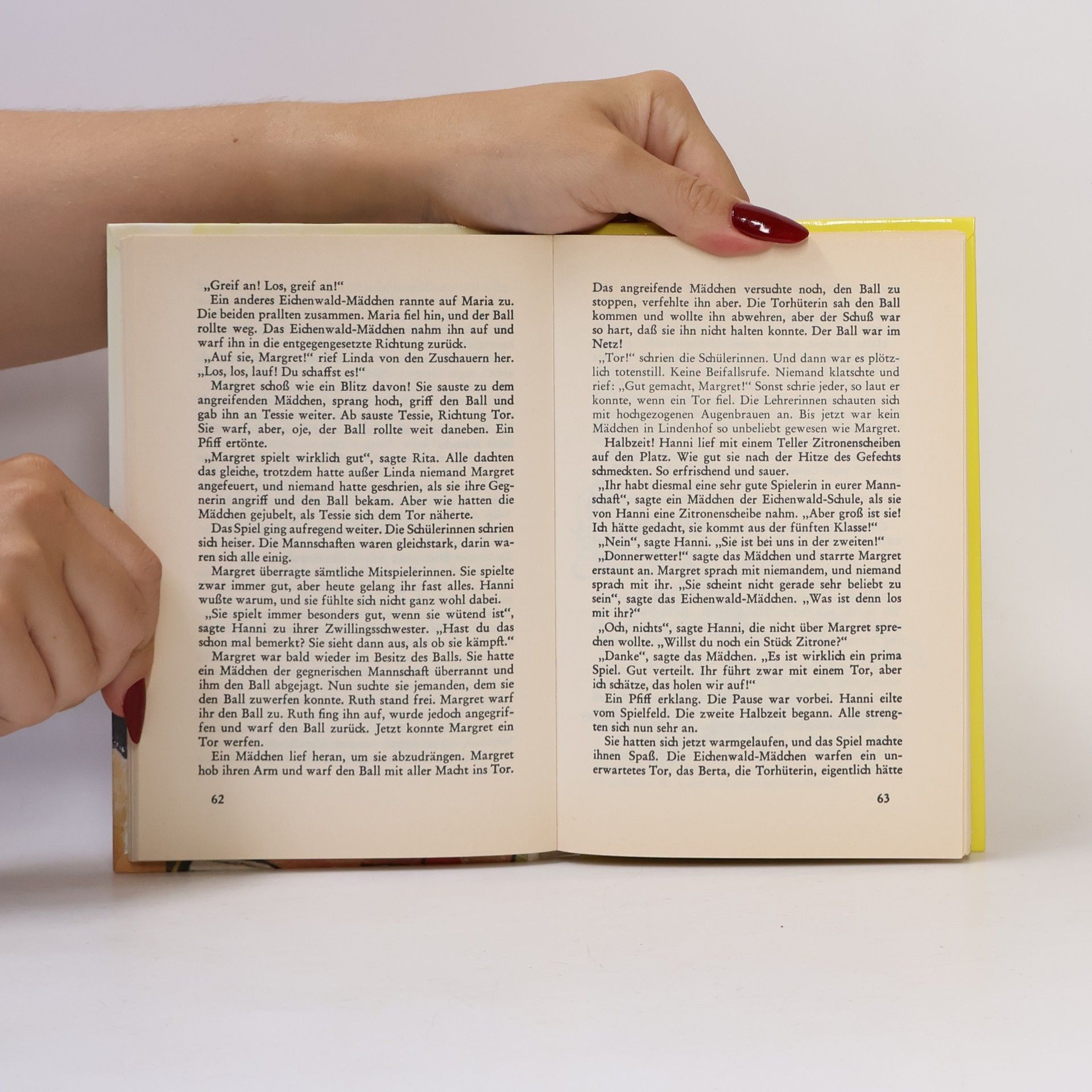 Enid Blyton Hanni und Nanni schmieden neue Pläne