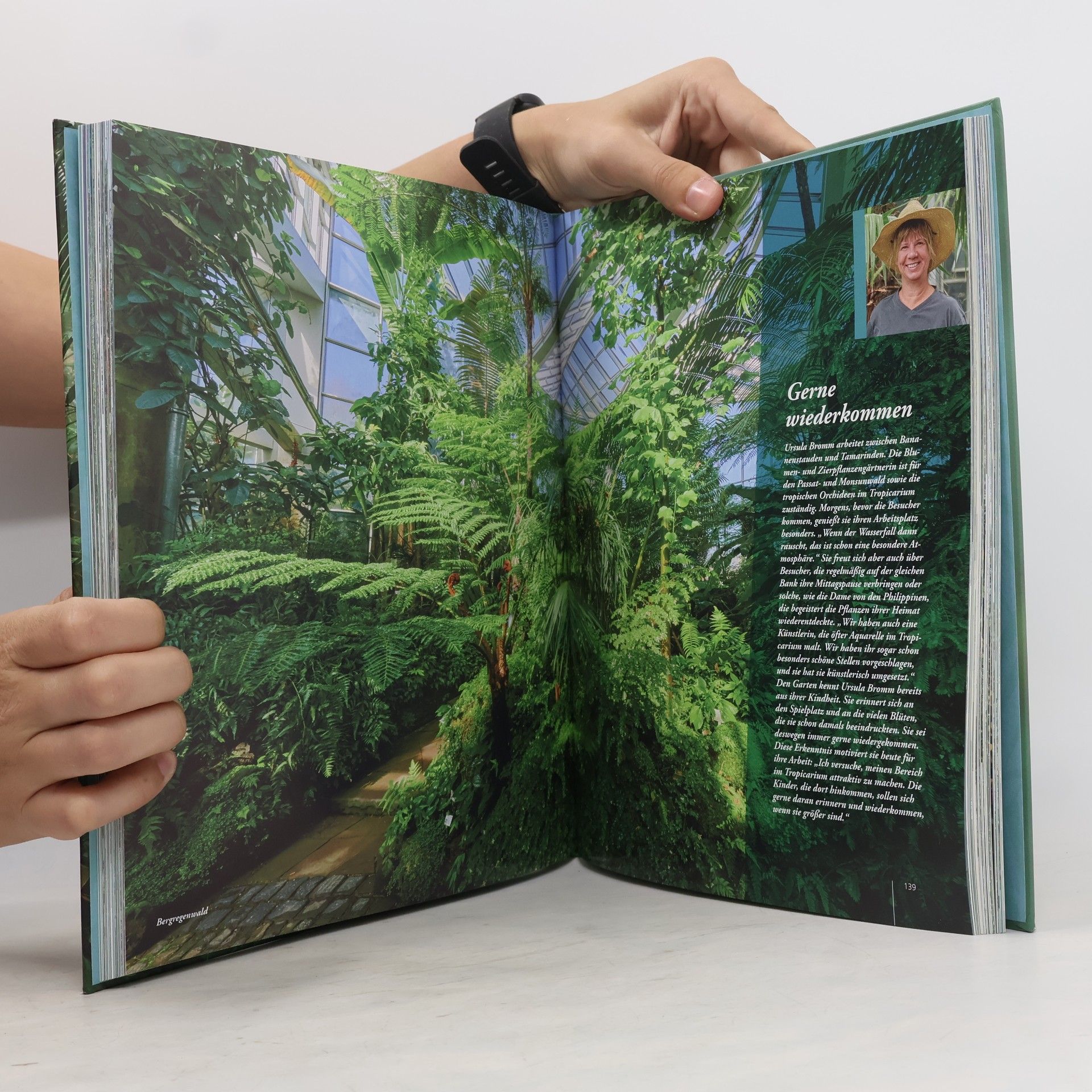 Sabine Börchers Der Palmengarten