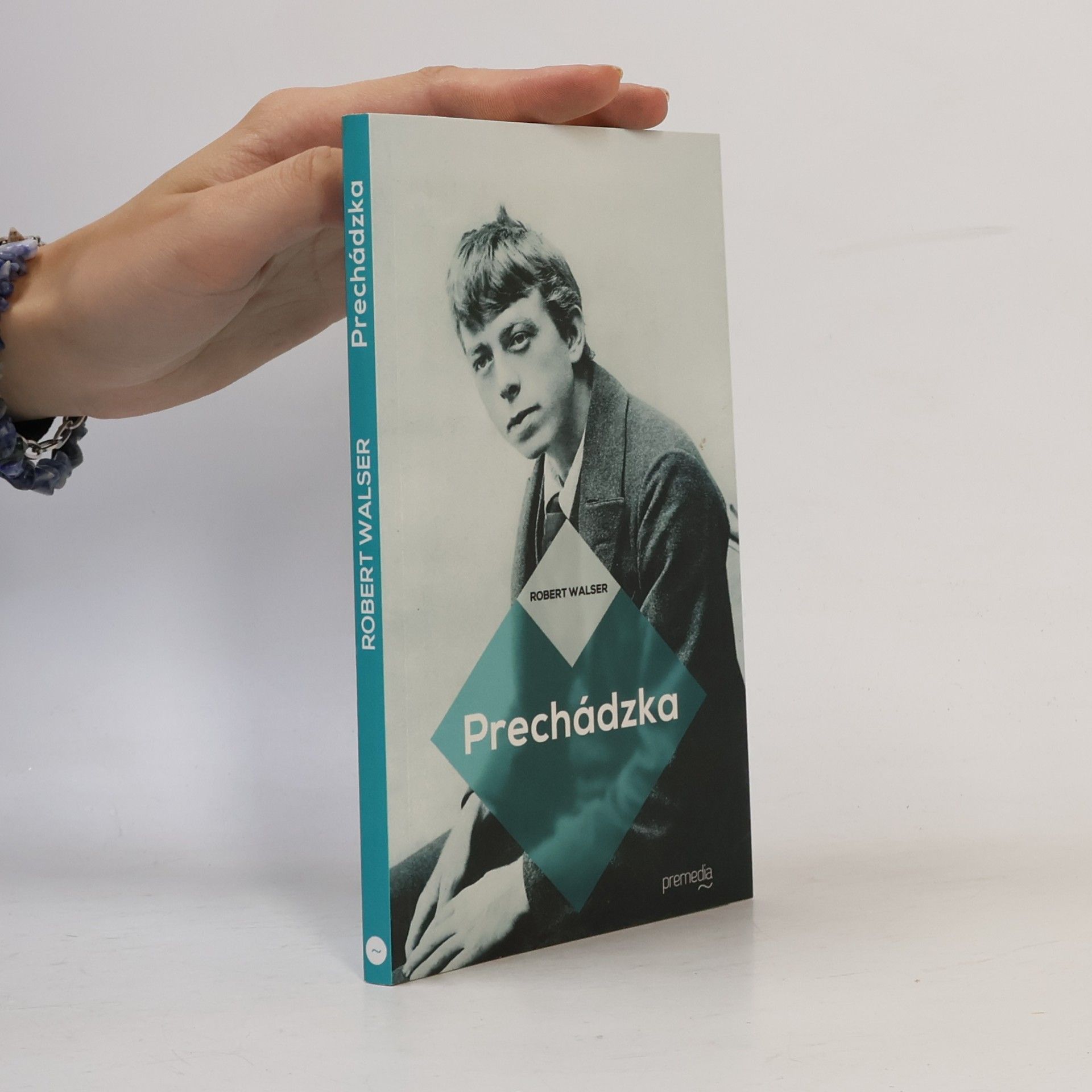 Robert Walser Prechádzka