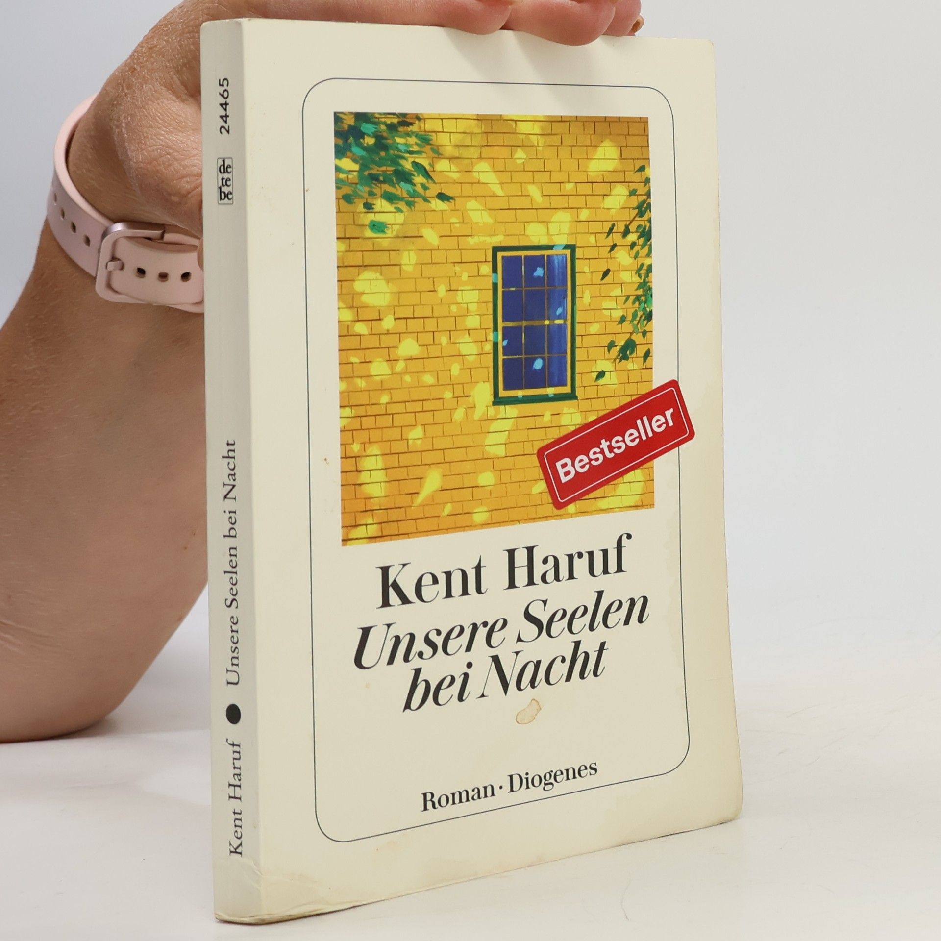Kent Haruf Unsere Seelen bei Nacht