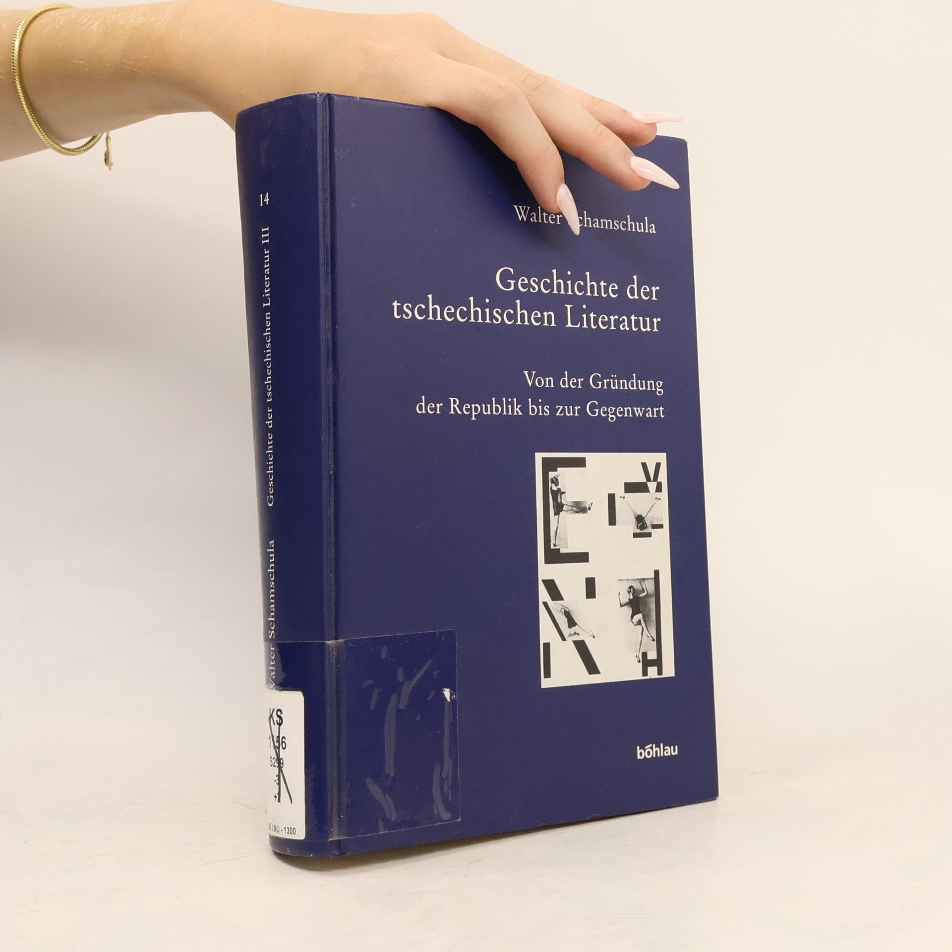 Walter Schamschula Geschichte der tschechischen Literatur