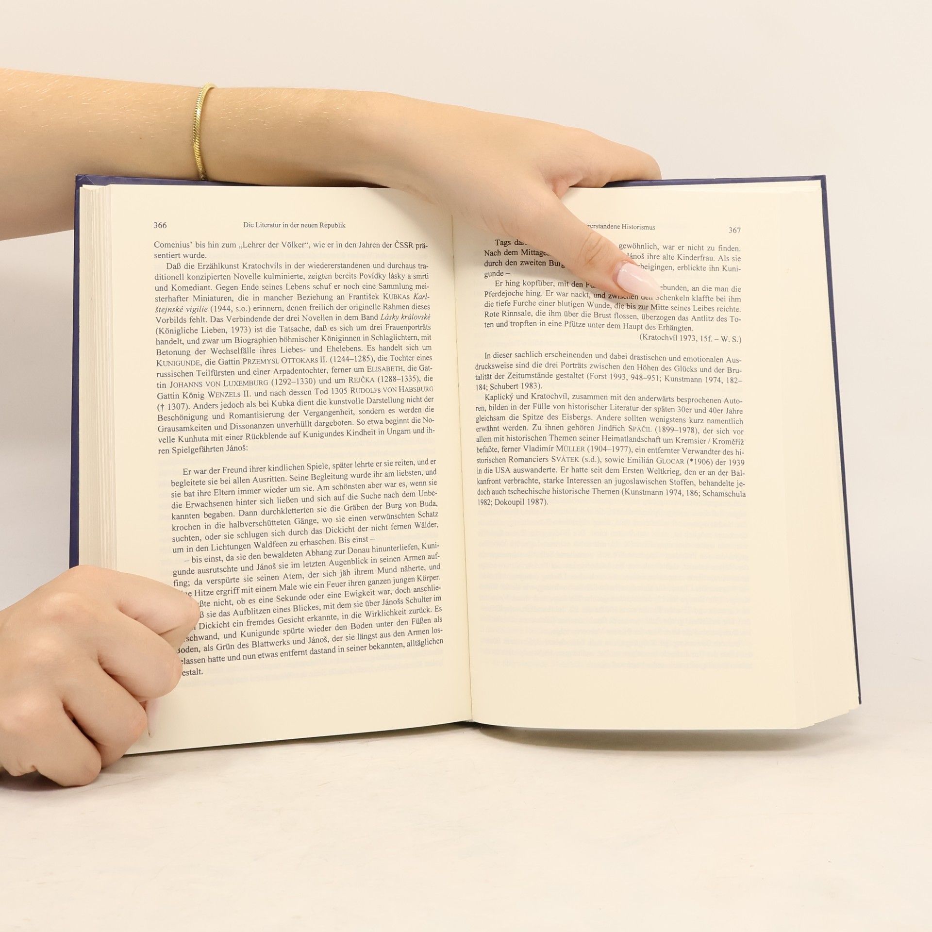 Walter Schamschula Geschichte der tschechischen Literatur