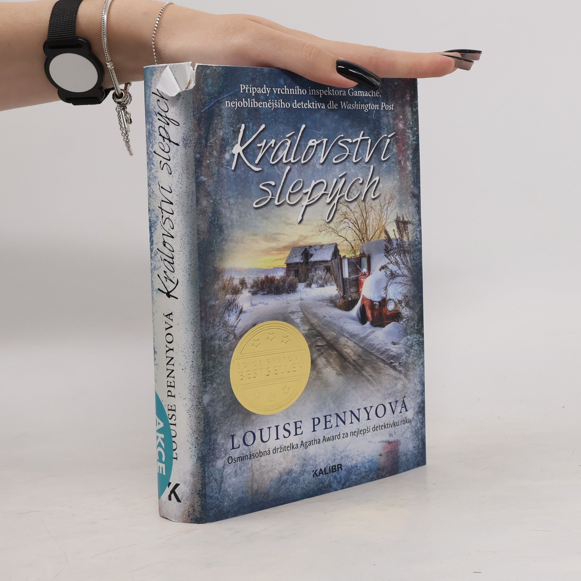 Louise Penny Království slepých
