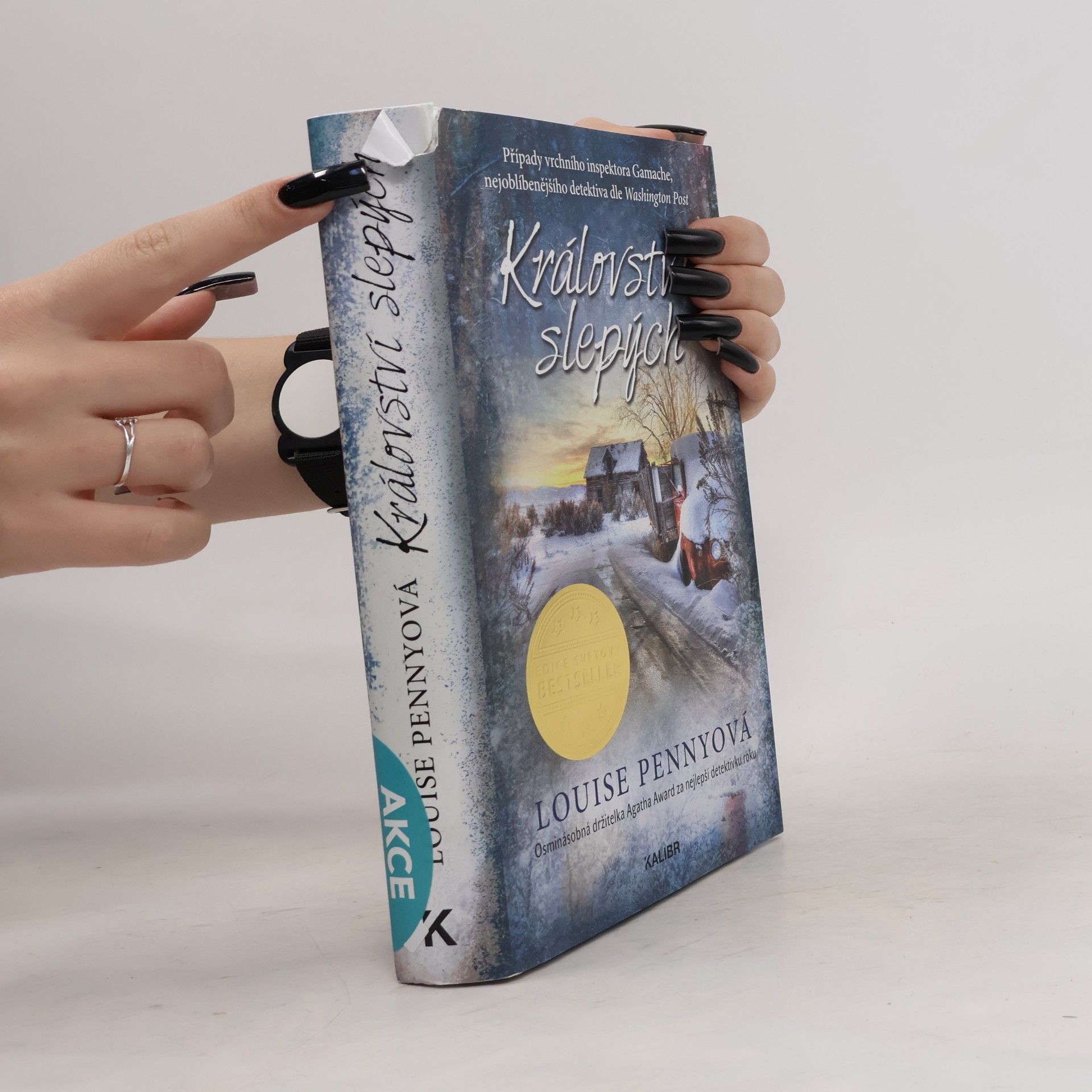 Louise Penny Království slepých