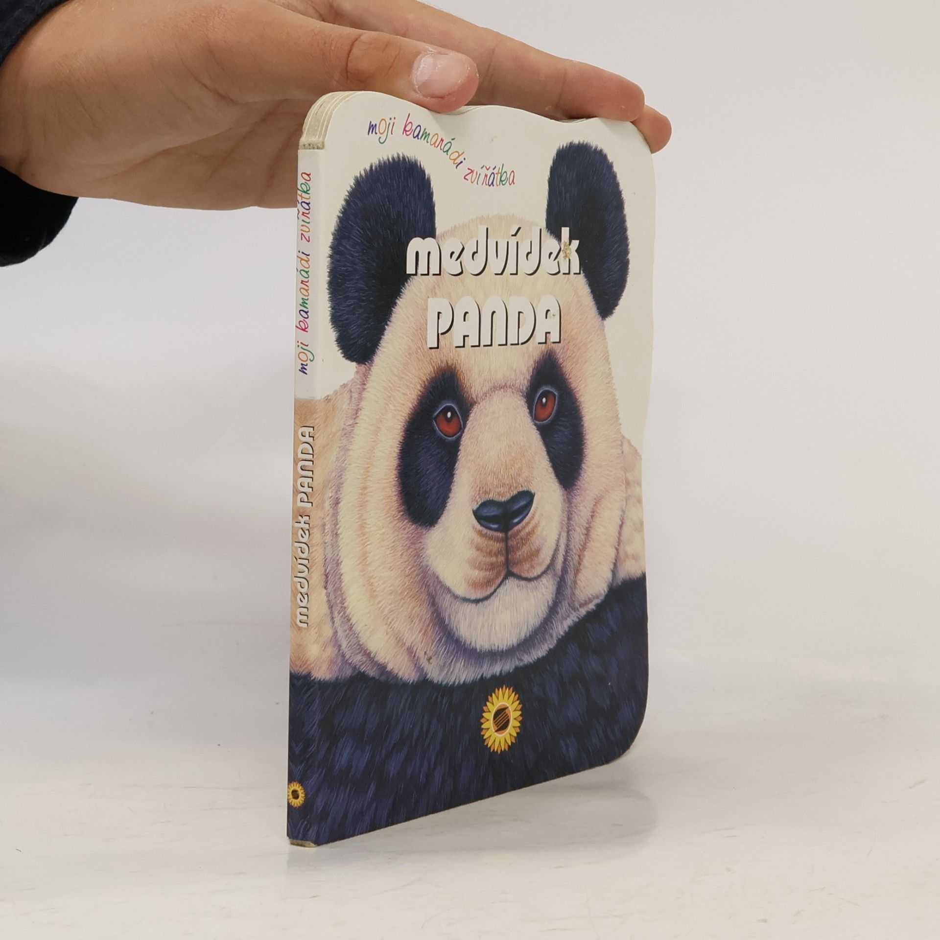 Consuelo Delgado Beistegui Medvídek panda