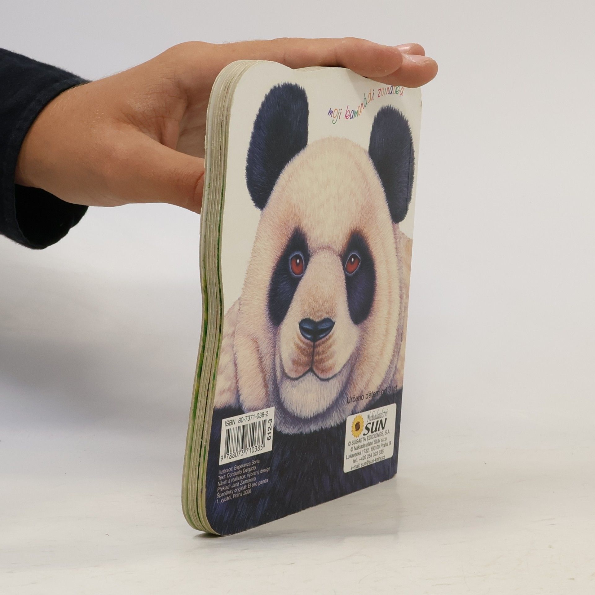Consuelo Delgado Beistegui Medvídek panda