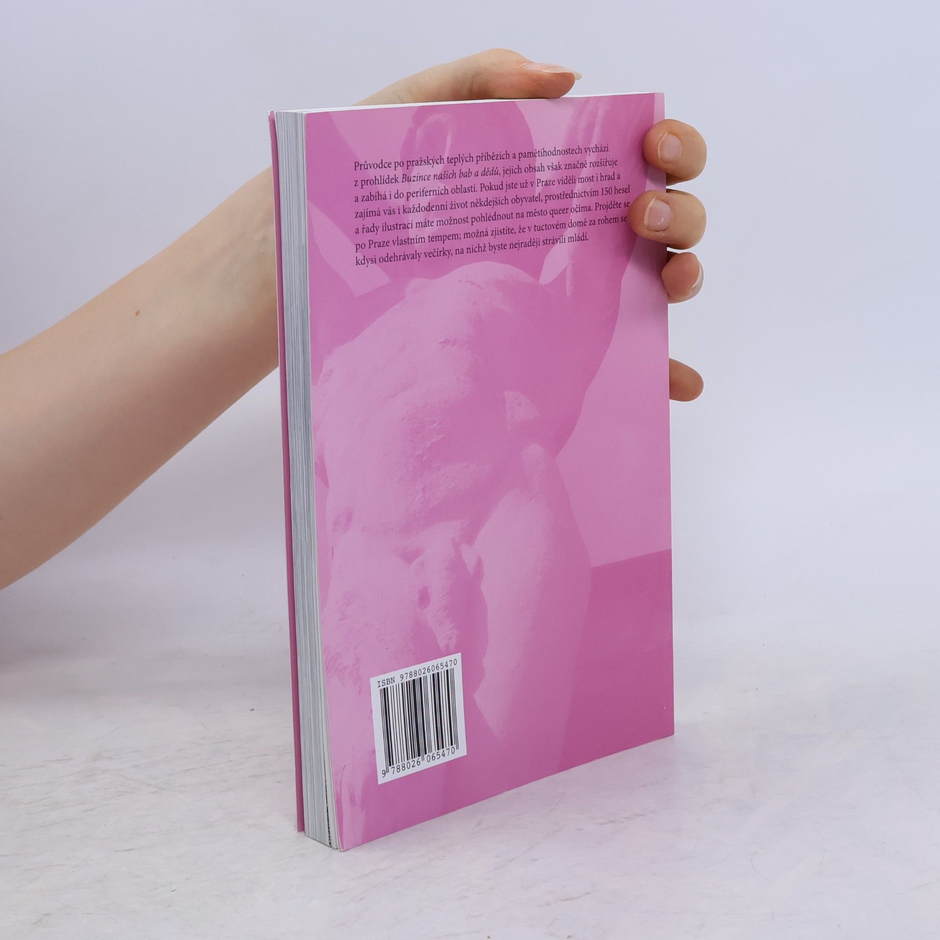Jan Seidl Teplá Praha: Průvodce po queer historii hlavního města 1380-2000