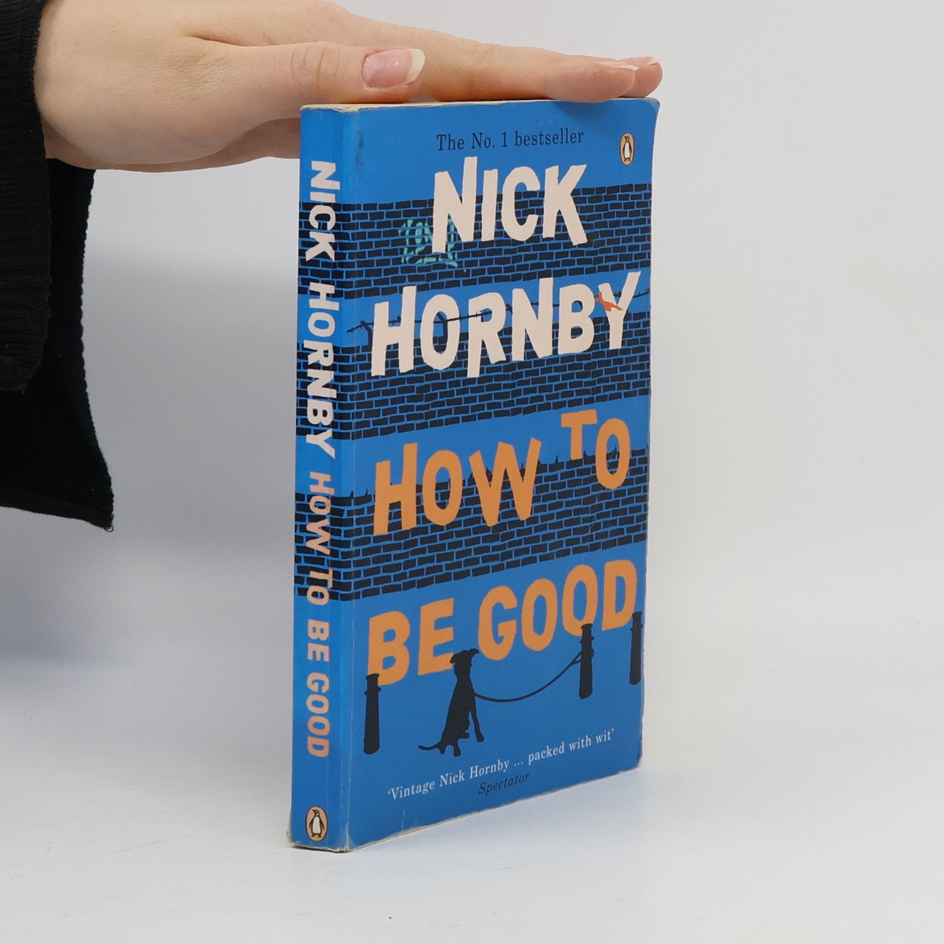 Nick Hornby How to be good