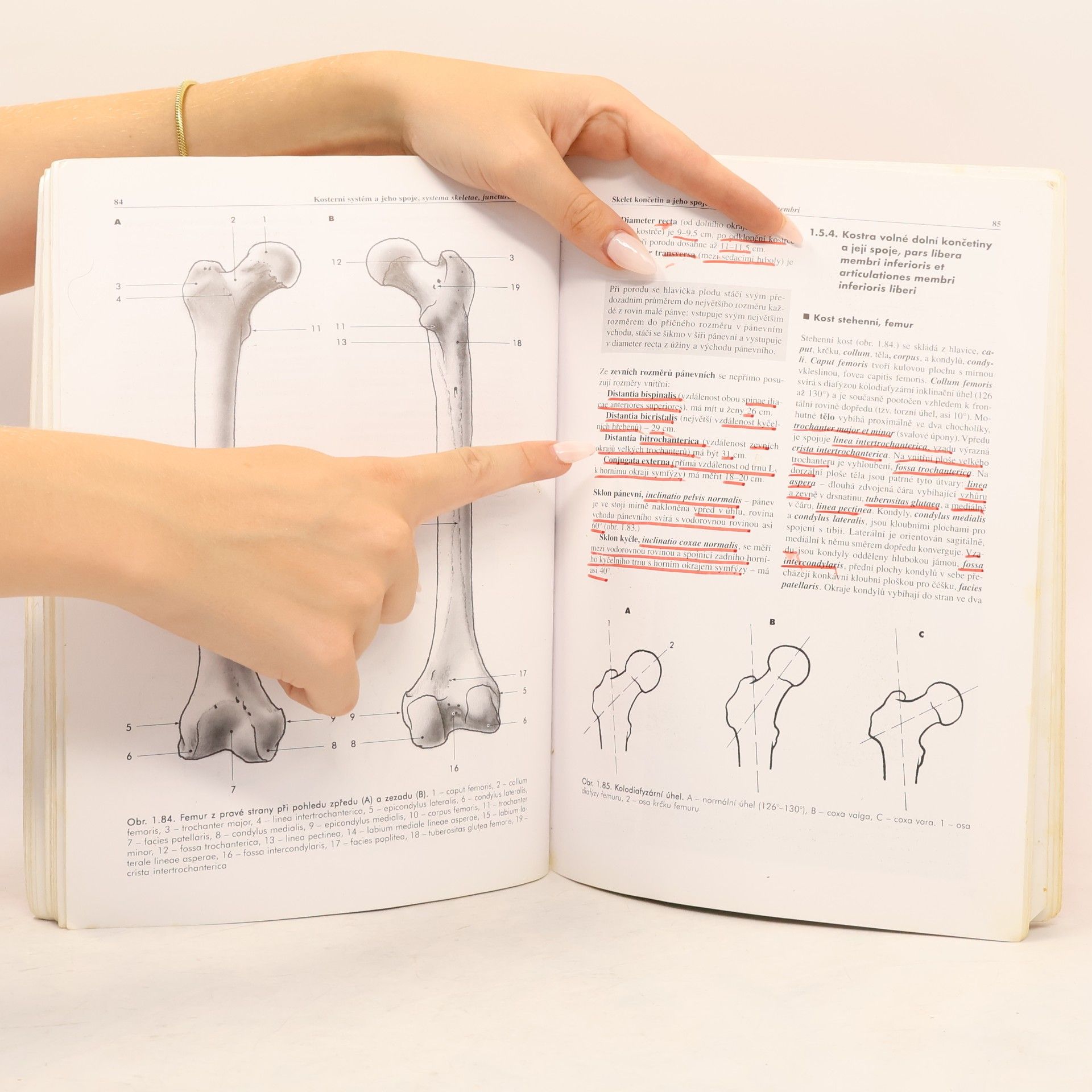 Miloš Grim Základy anatomie 1. Obecná anatomie a pohybový systém