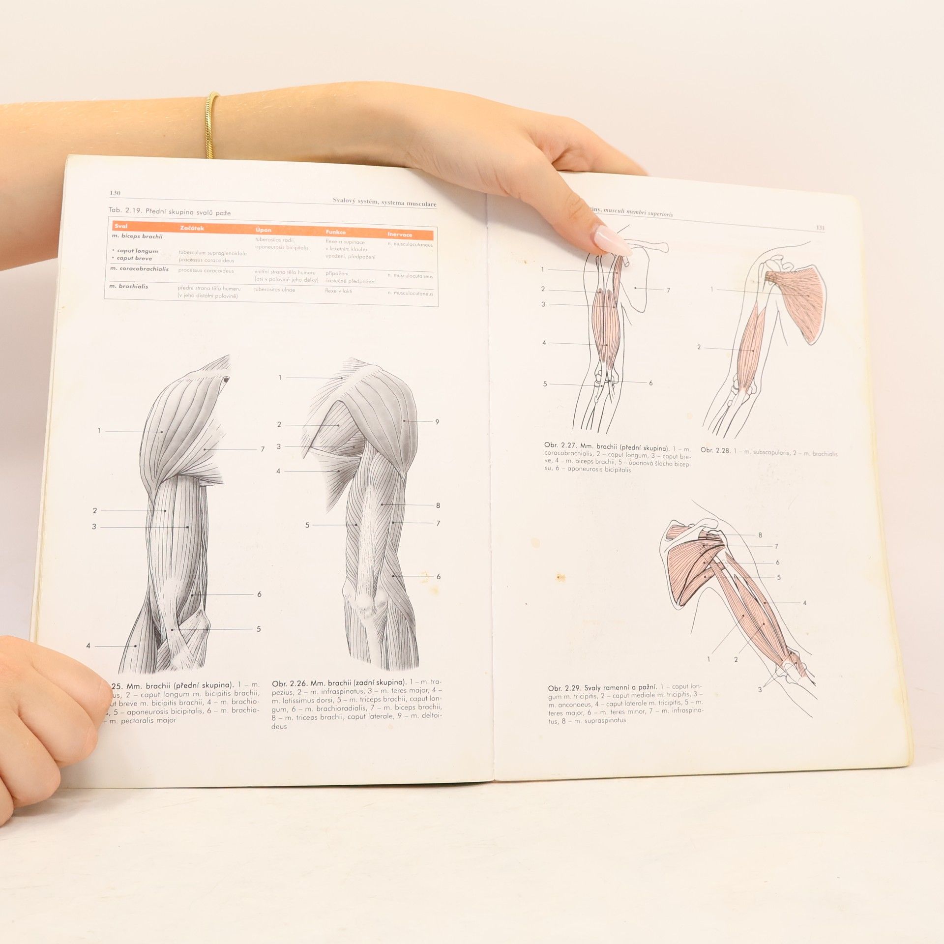 Miloš Grim Základy anatomie 1. Obecná anatomie a pohybový systém
