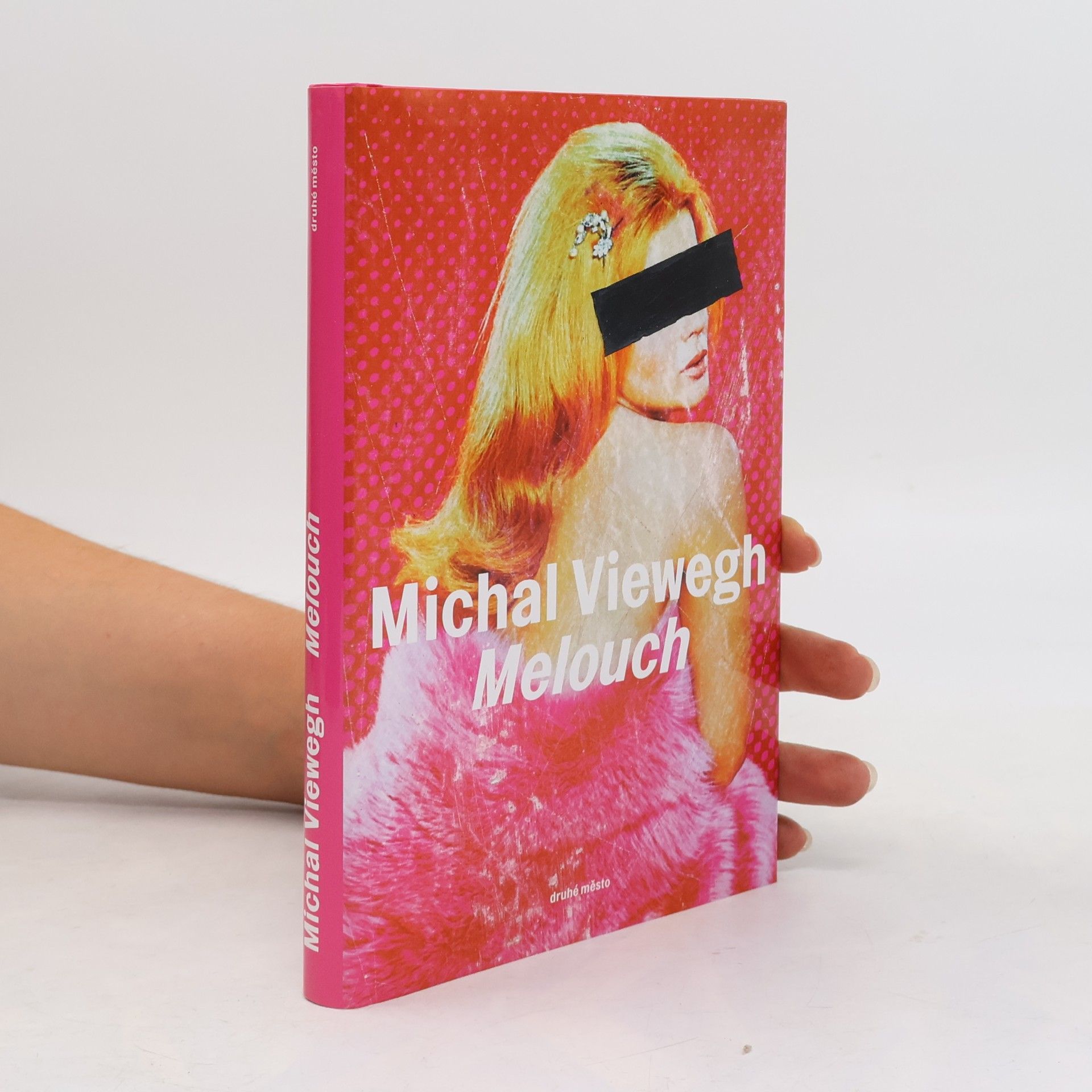 Michal Viewegh Melouch