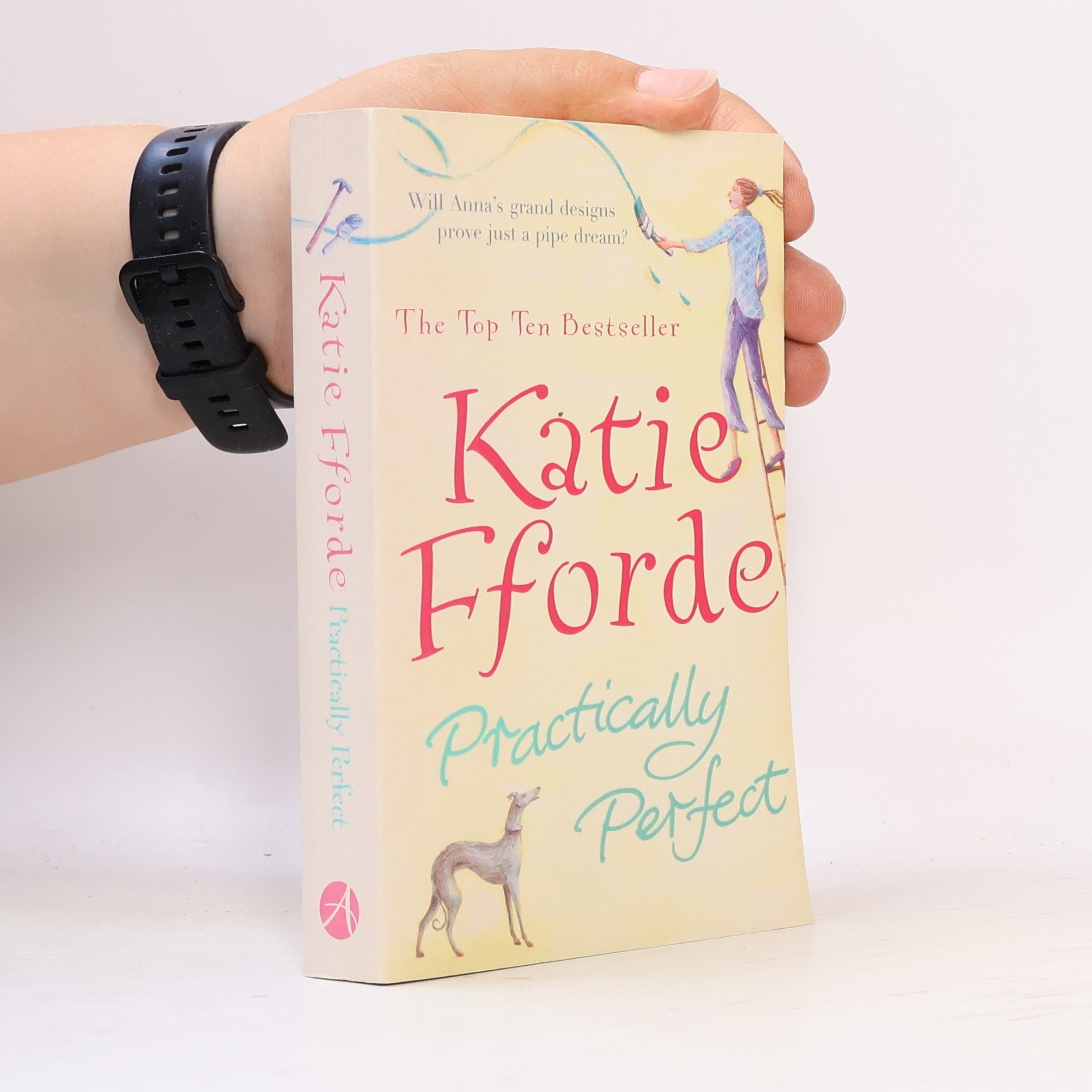 Katie Fforde Practically Perfect