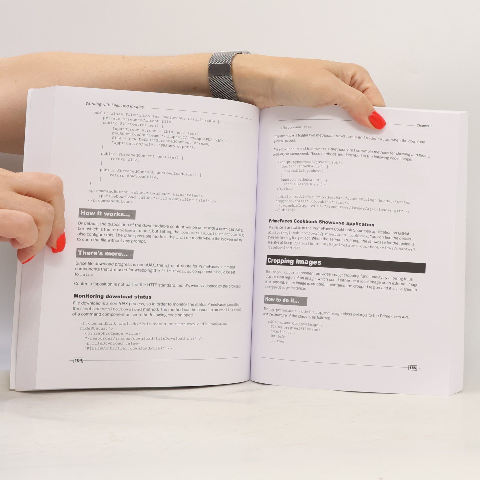 Mert Çalişkan PrimeFaces Cookbook