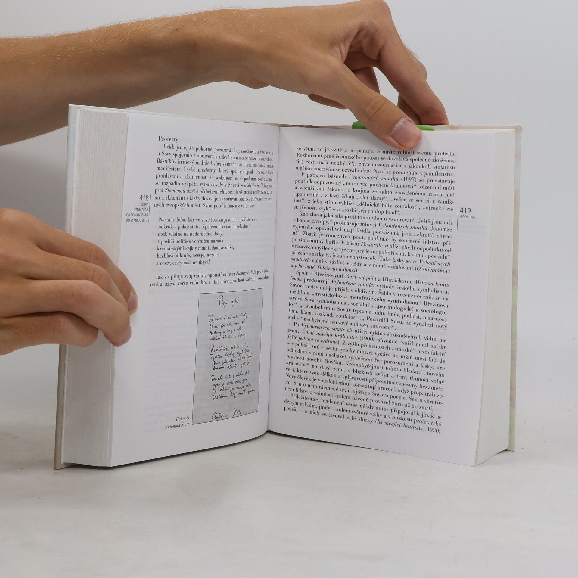 Jiří Holý Česká literatura od počátků k dnešku