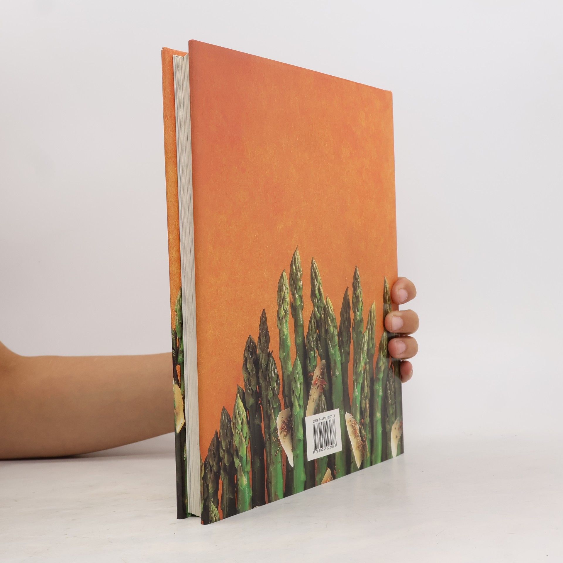 Wendy Stephen Il grande libro della cucina vegetariana. Ediz. illustrata