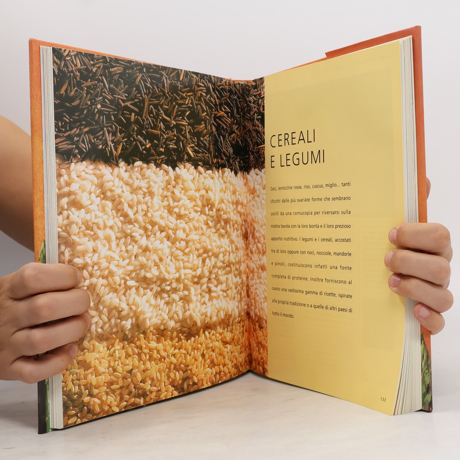 Wendy Stephen Il grande libro della cucina vegetariana. Ediz. illustrata