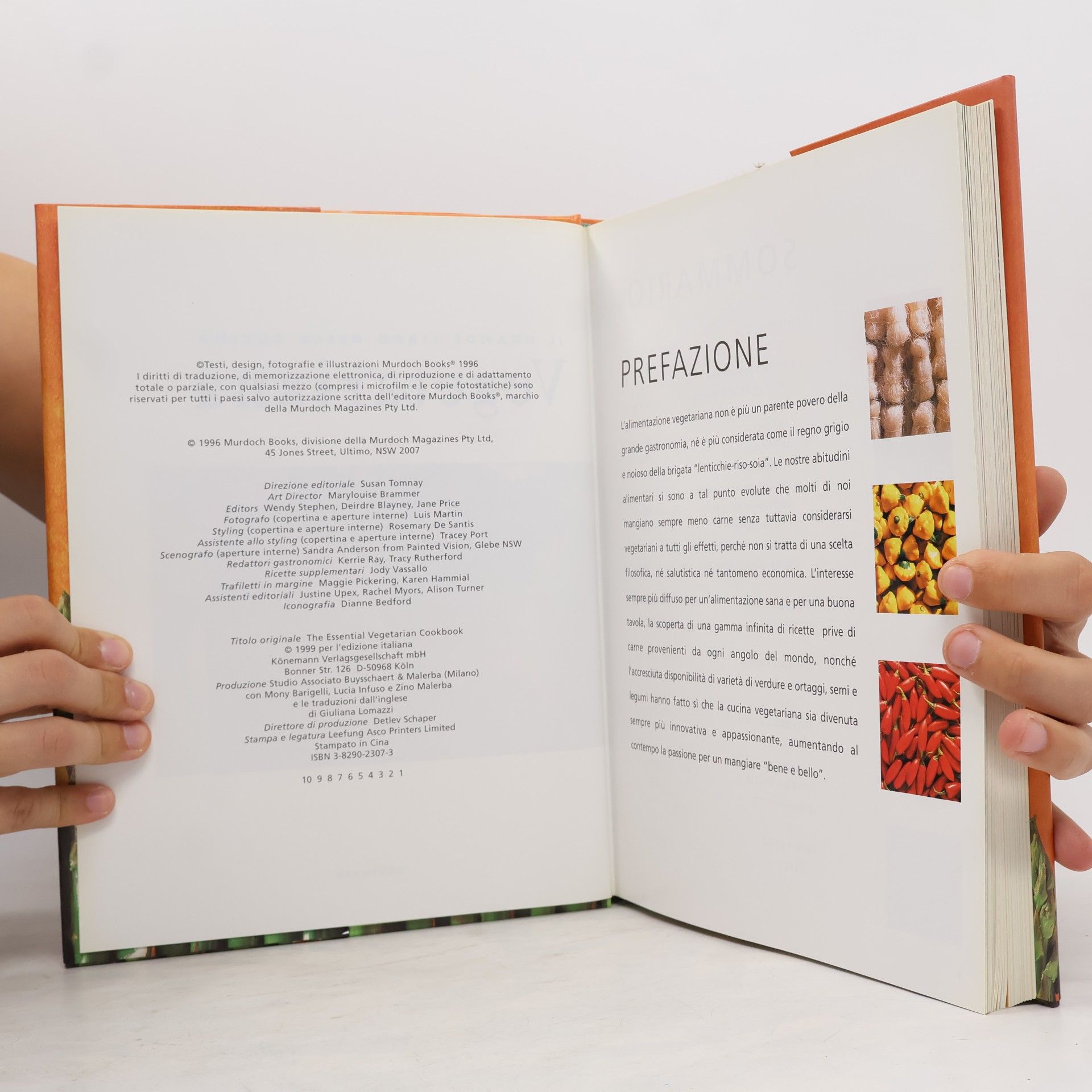 Wendy Stephen Il grande libro della cucina vegetariana. Ediz. illustrata