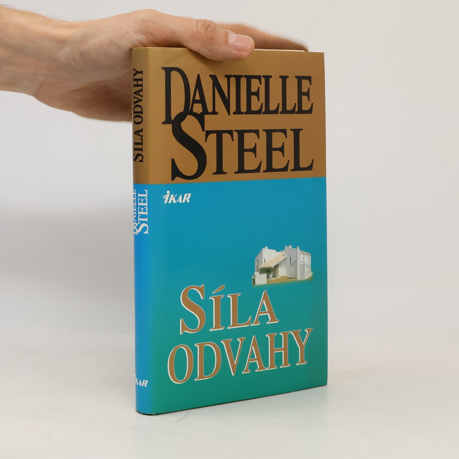 Danielle Steel Síla odvahy