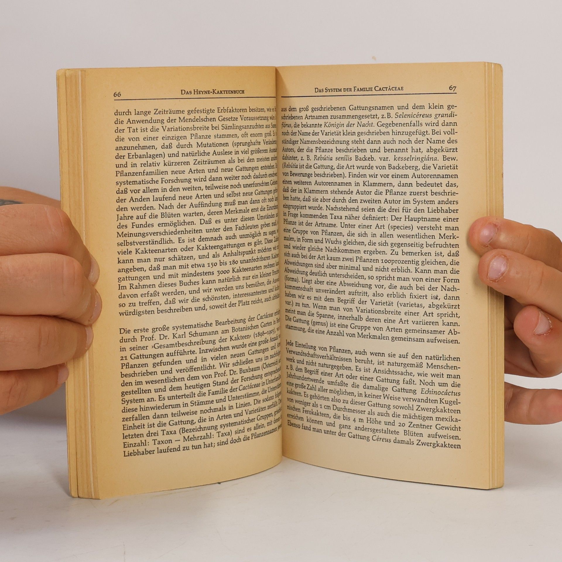 Willy Cullmann Das Heyne-Kakteenbuch
