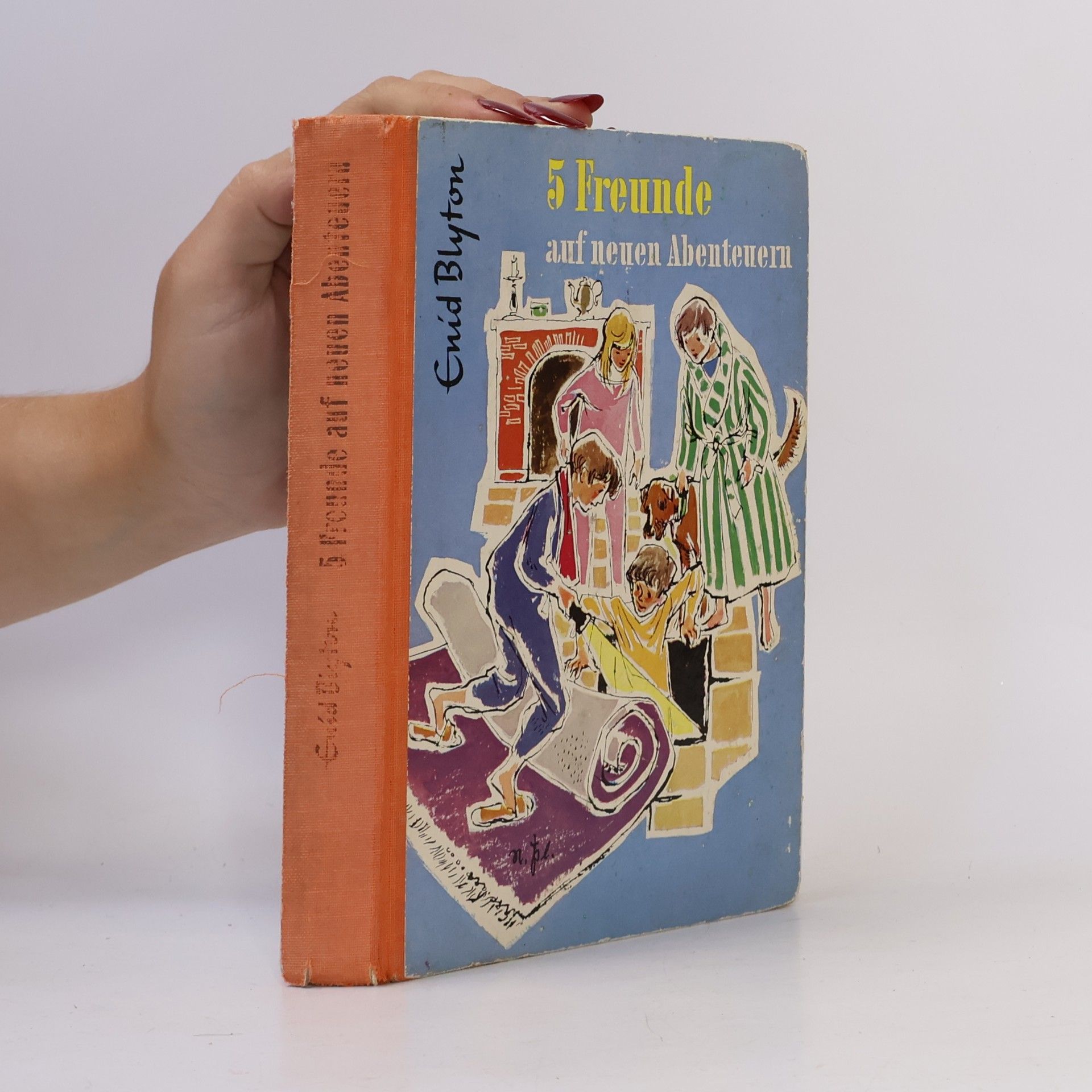 Enid Blyton 5 Freunde auf neuen Abenteuern