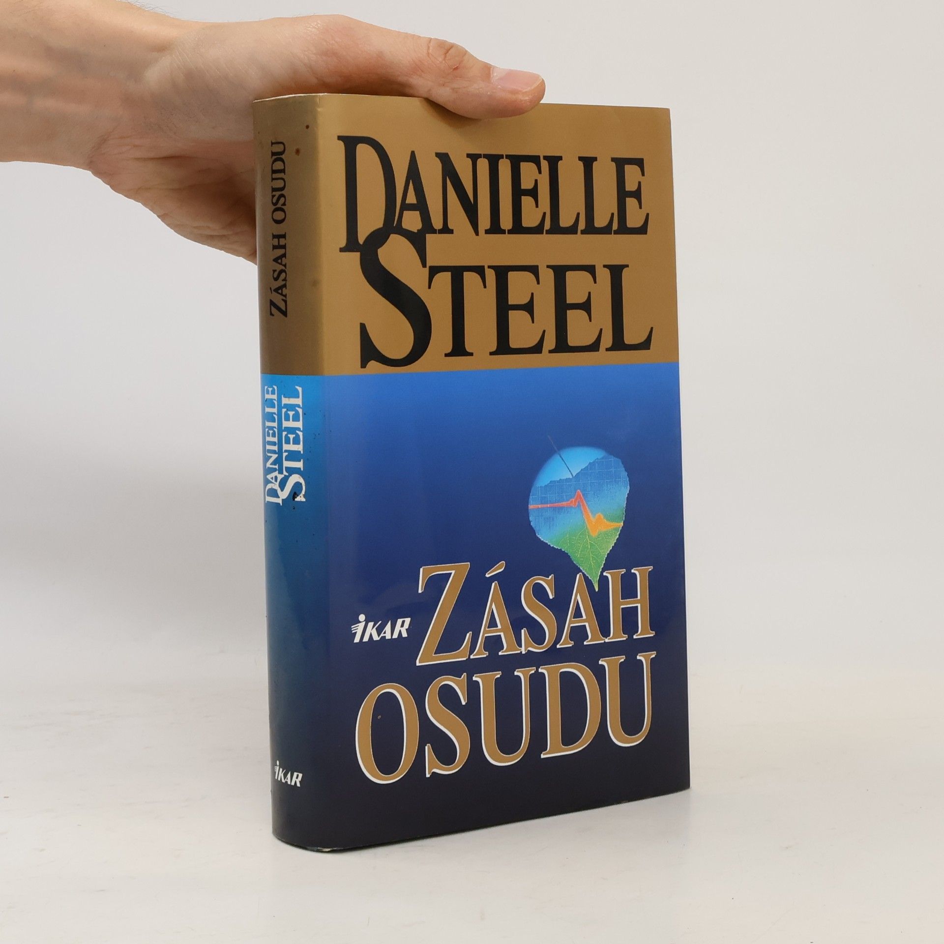 Danielle Steel Zásah osudu