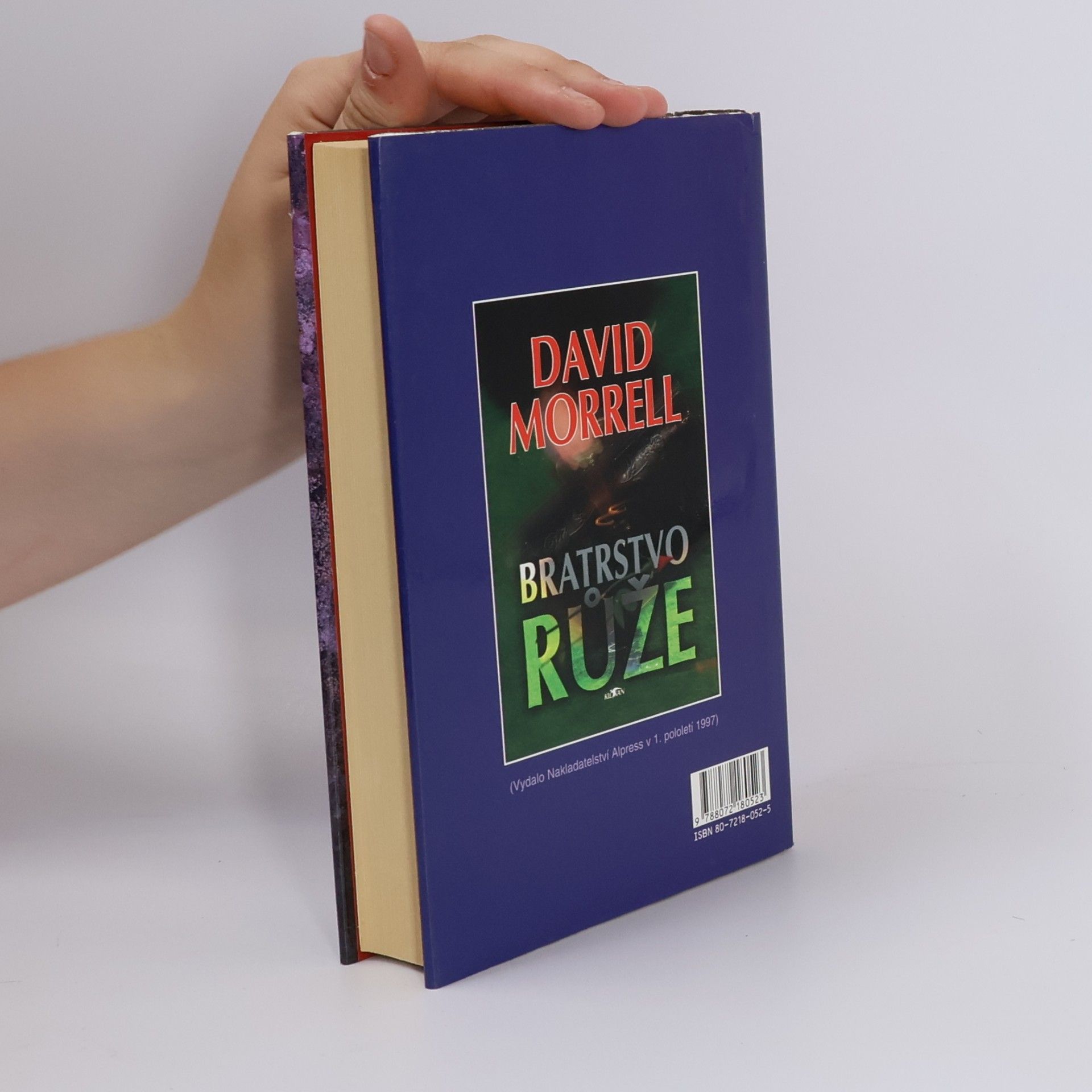 David Morrell Bratrstvo kamene