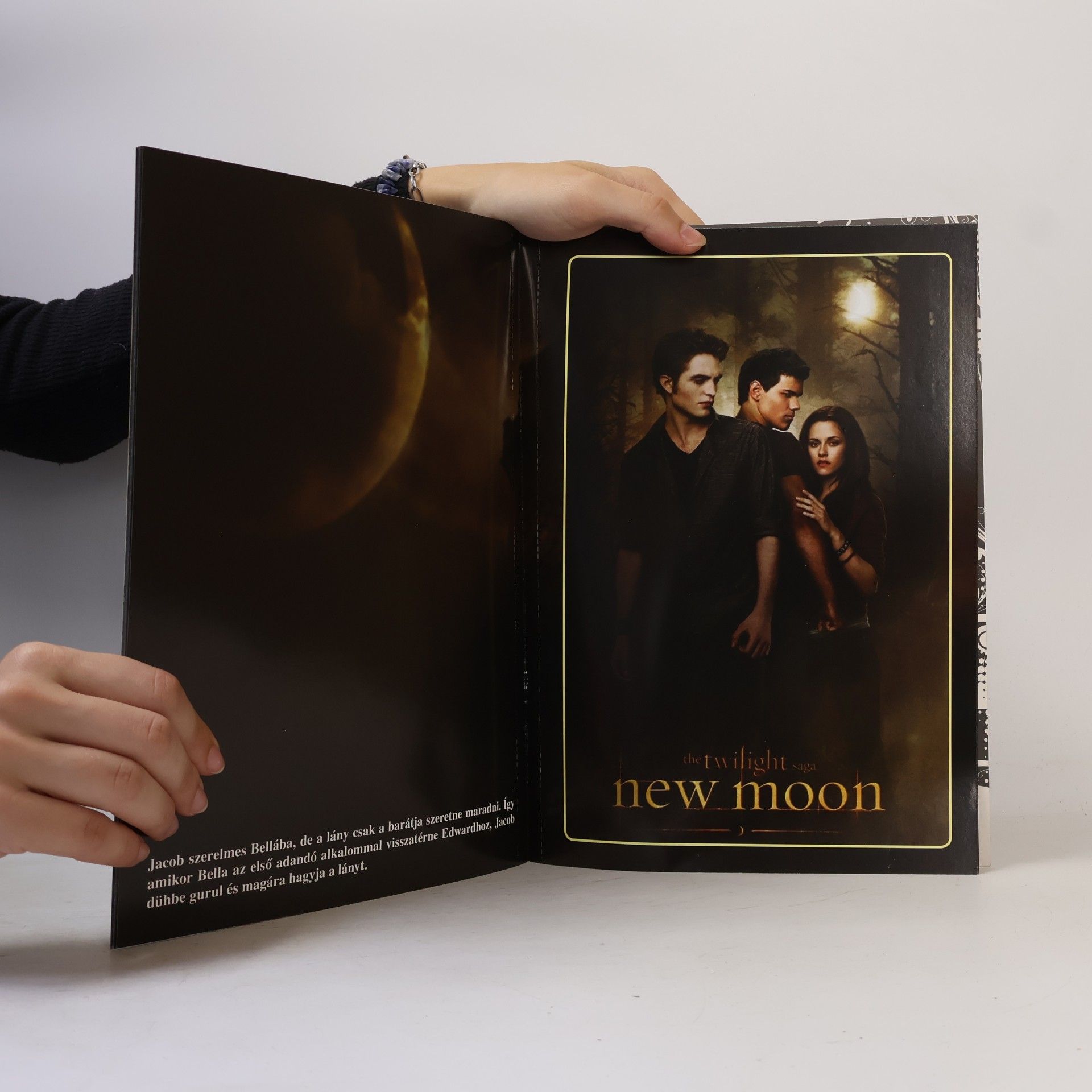 Kolektiv autorů Twilight - New Moon