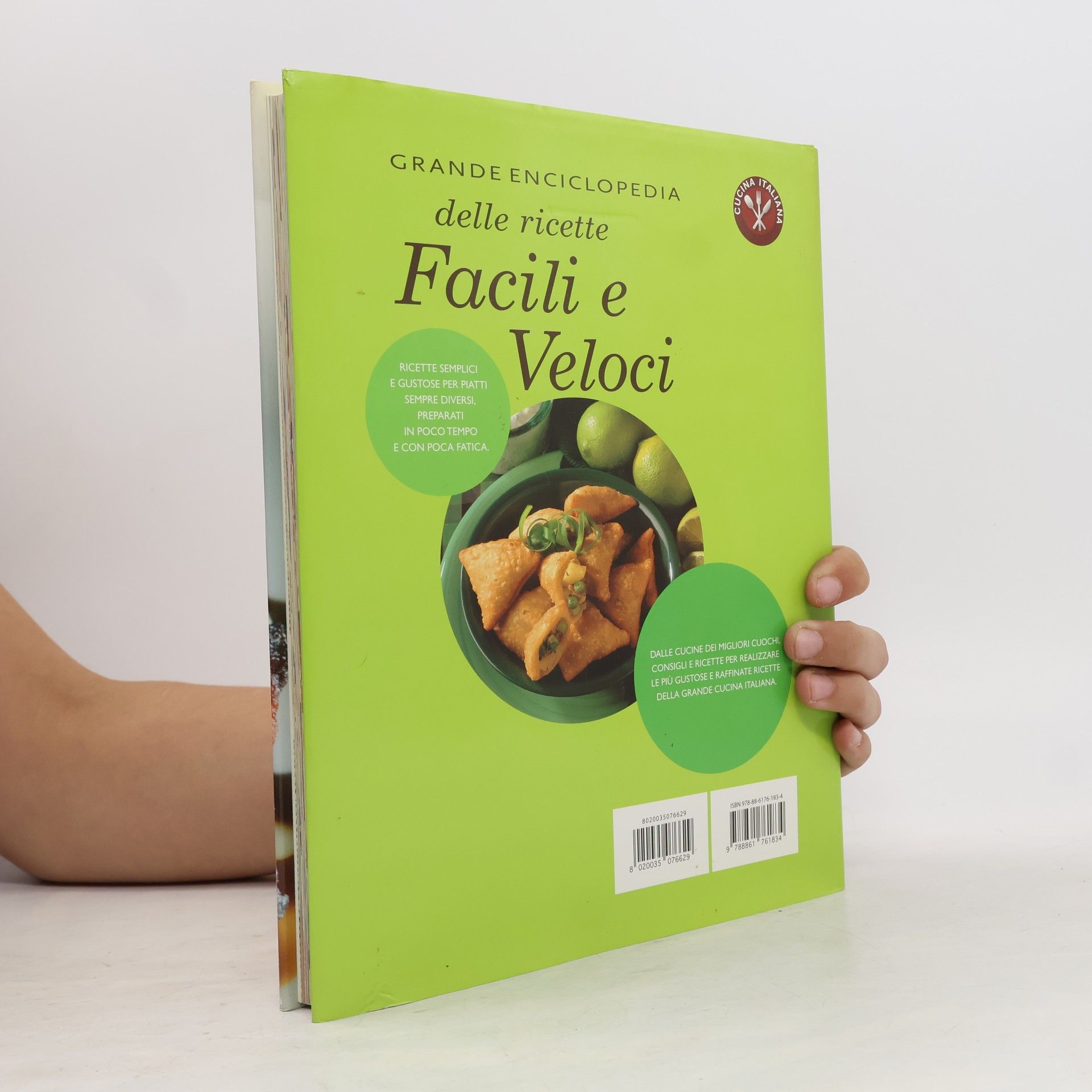 Grande enciclopedia delle ricette facili e veloci
