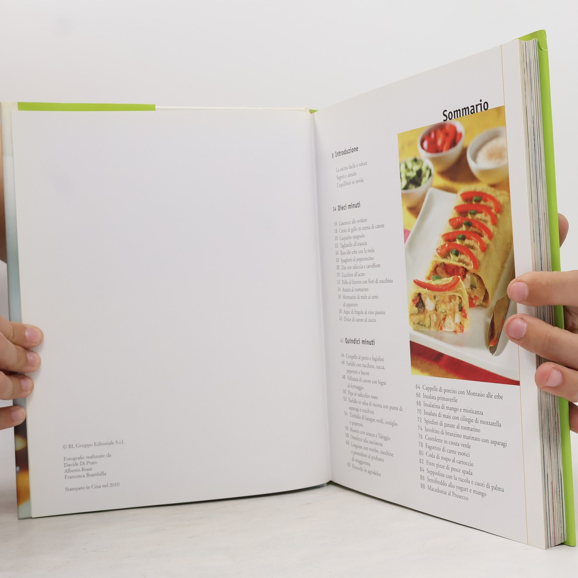 Grande enciclopedia delle ricette facili e veloci