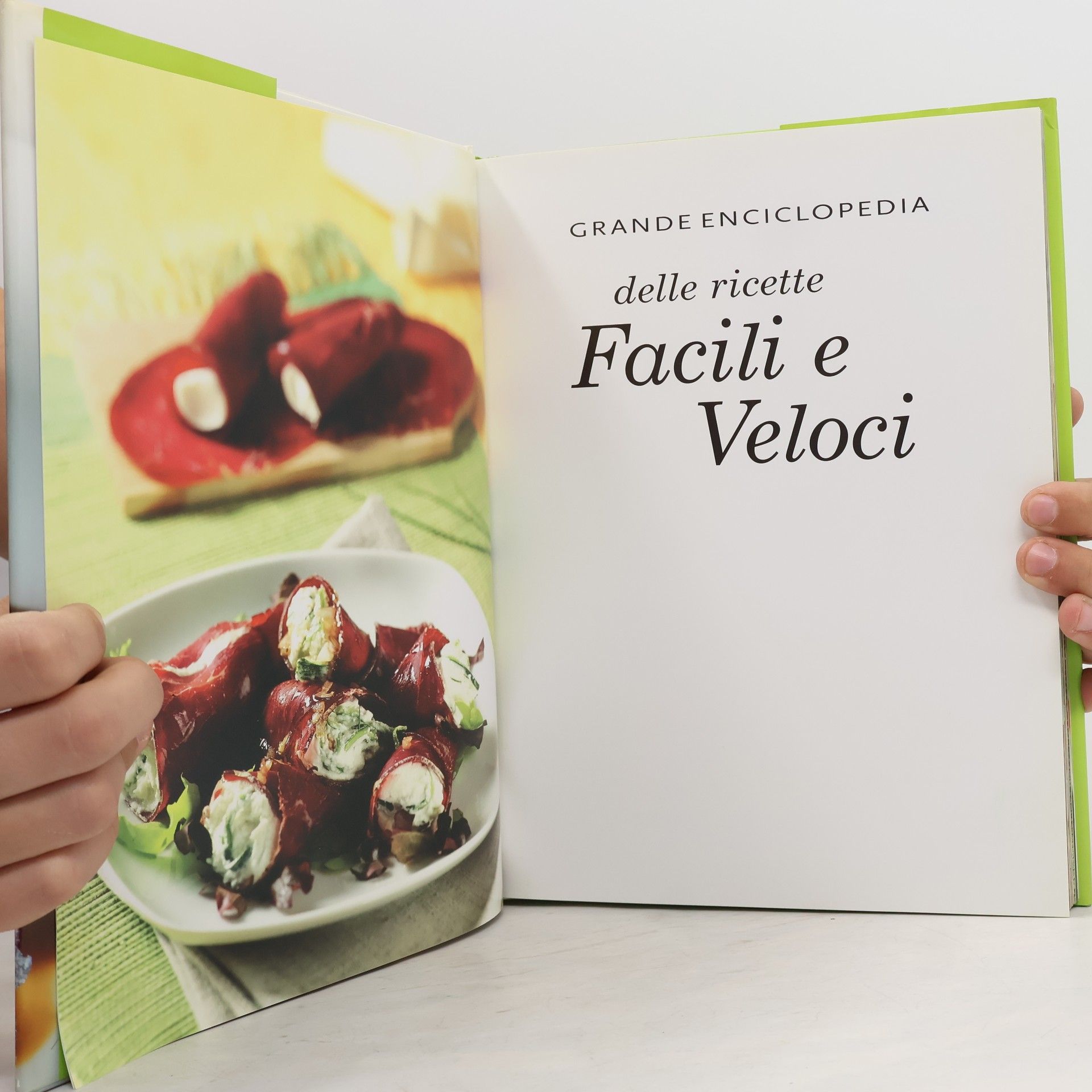 Grande enciclopedia delle ricette facili e veloci