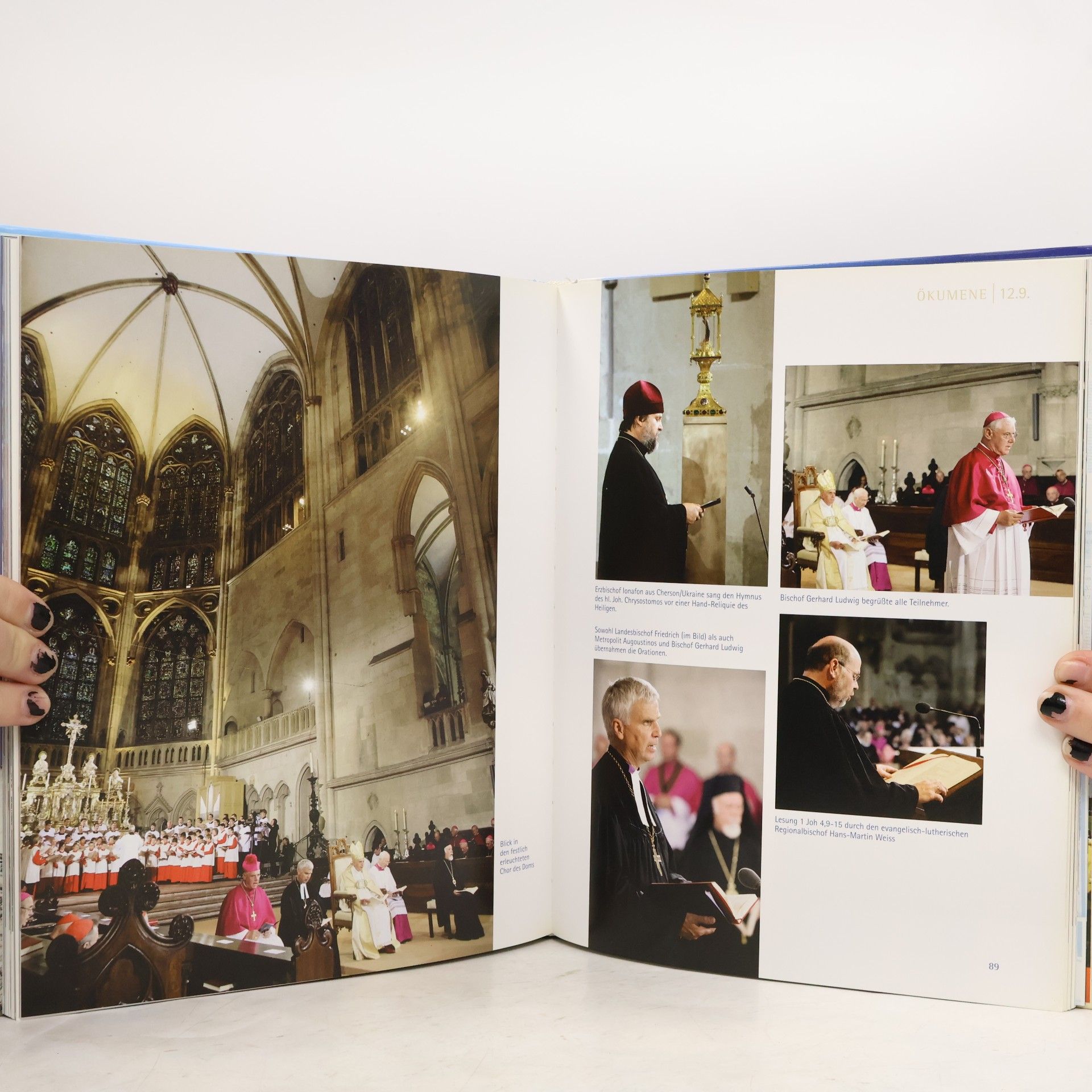 Karl Birkenseer Papst Benedikt XVI. in Regensburg