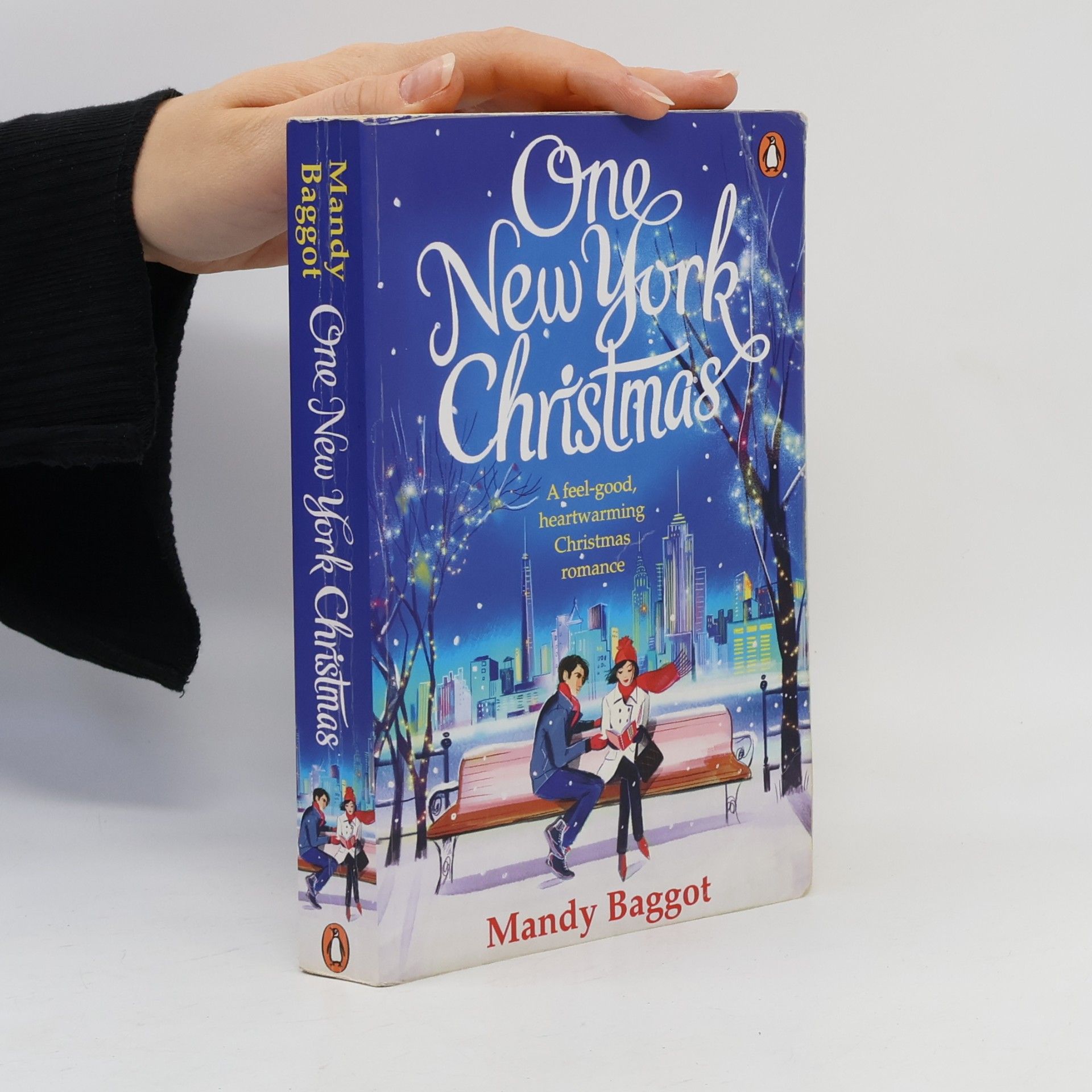 Mandy Baggot One New York Christmas