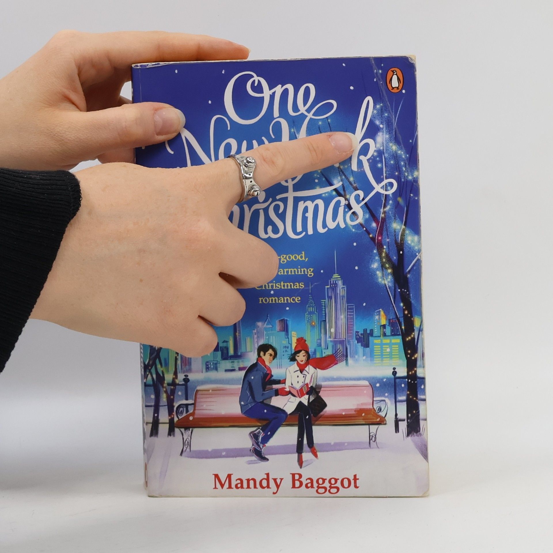 Mandy Baggot One New York Christmas