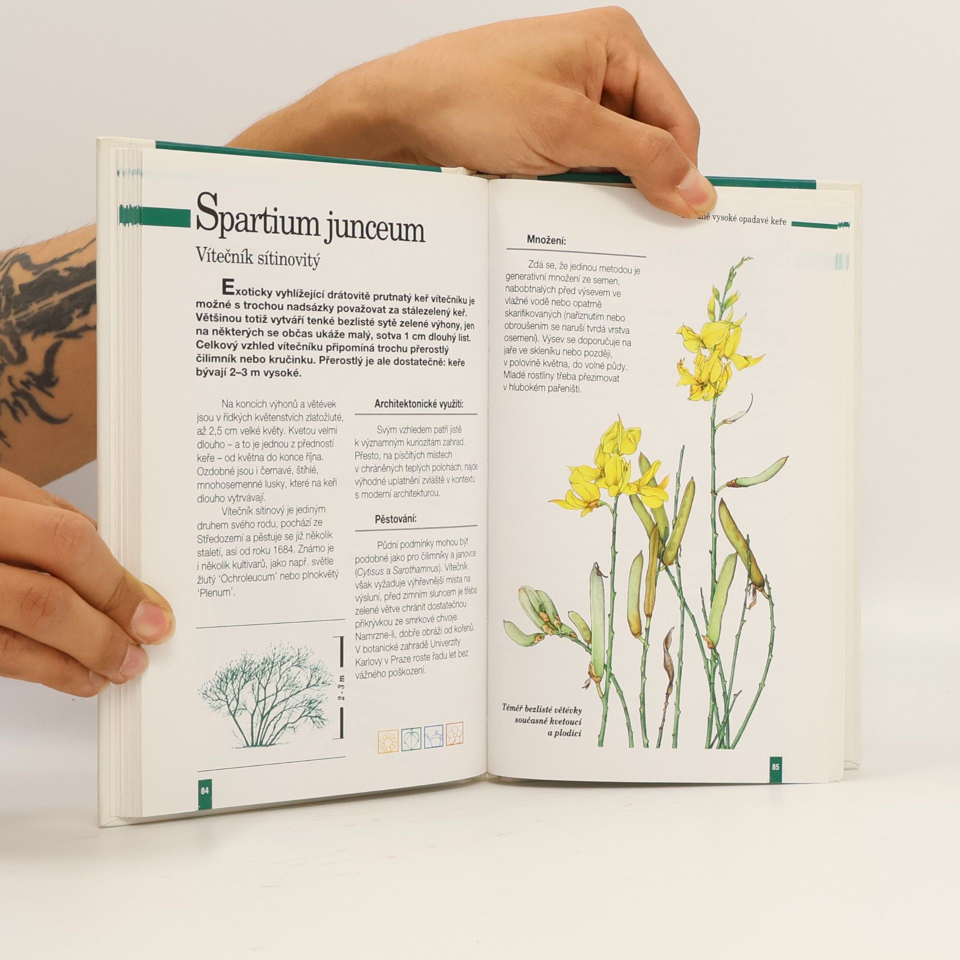 Various authors Okrasné keře