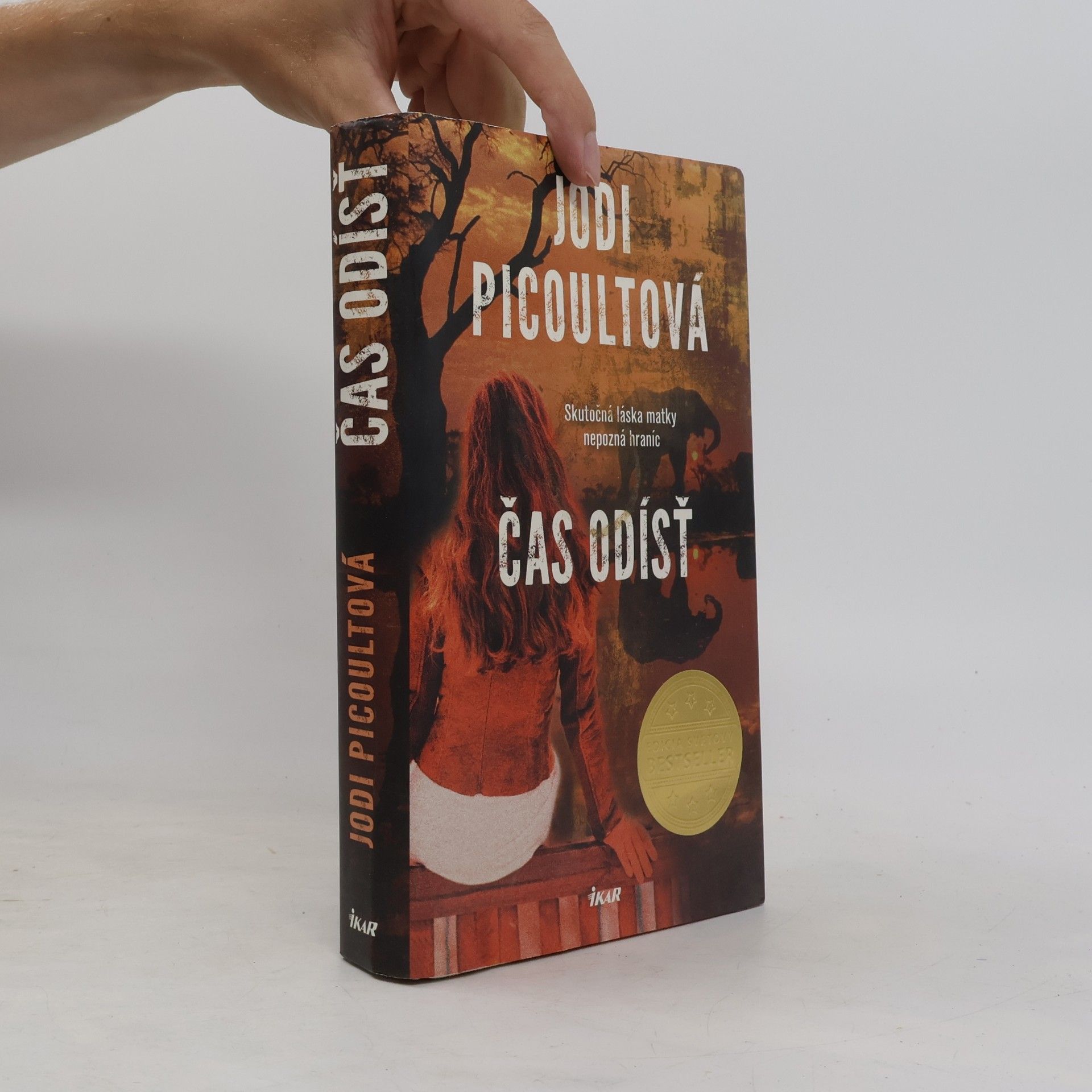 Jodi Picoult Čas odísť