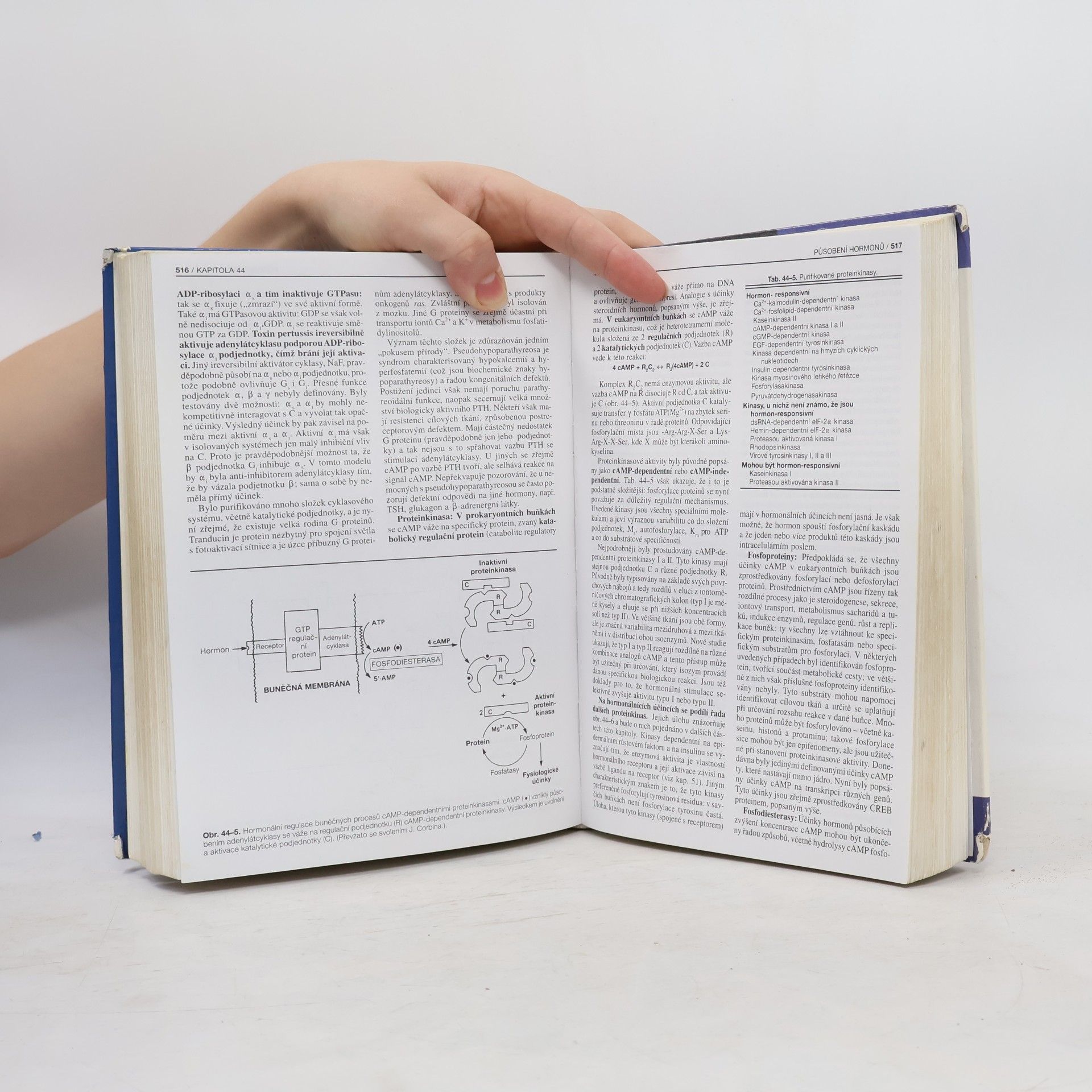 Robert Kincaid Murray Harperova biochemie