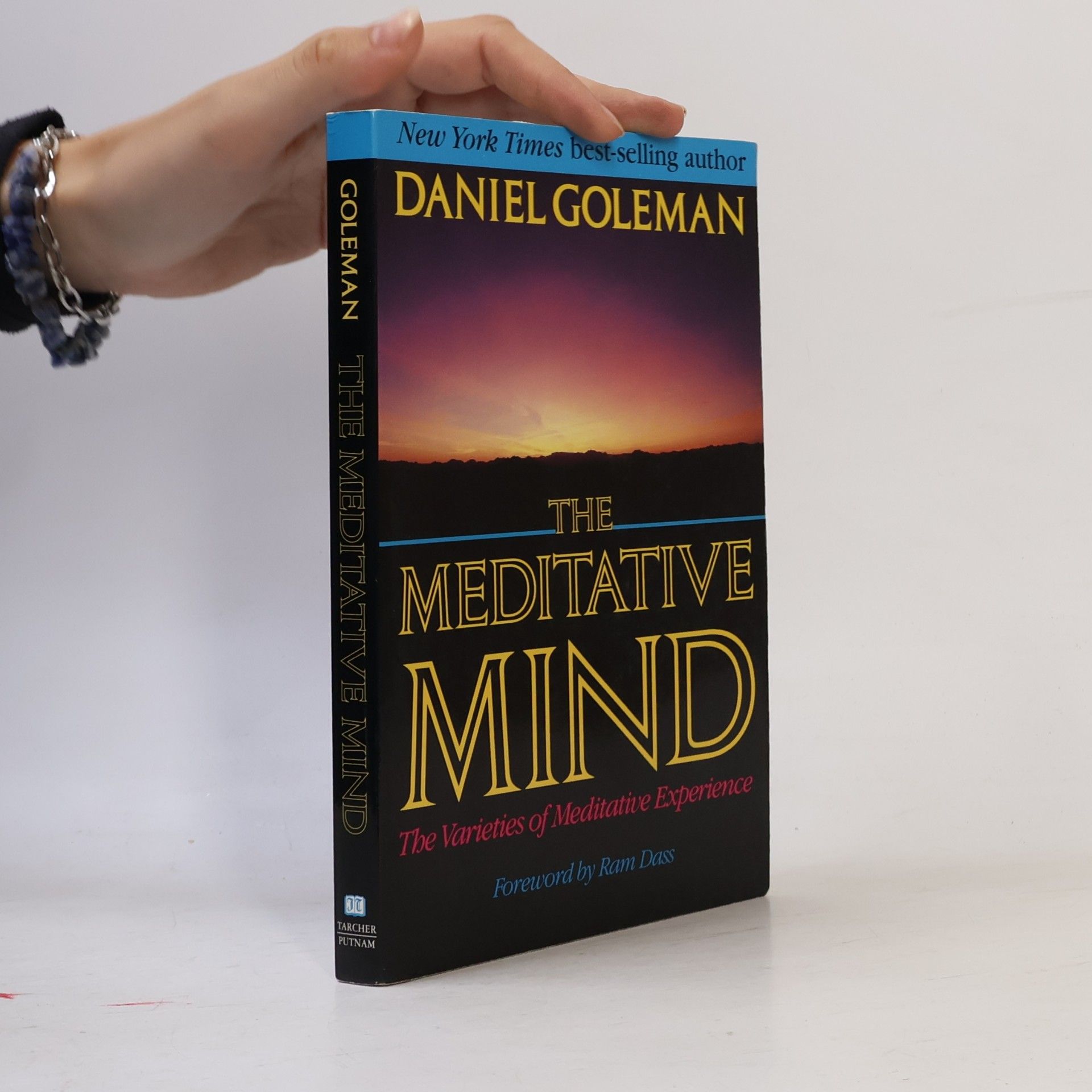 Daniel Goleman Meditative Mind
