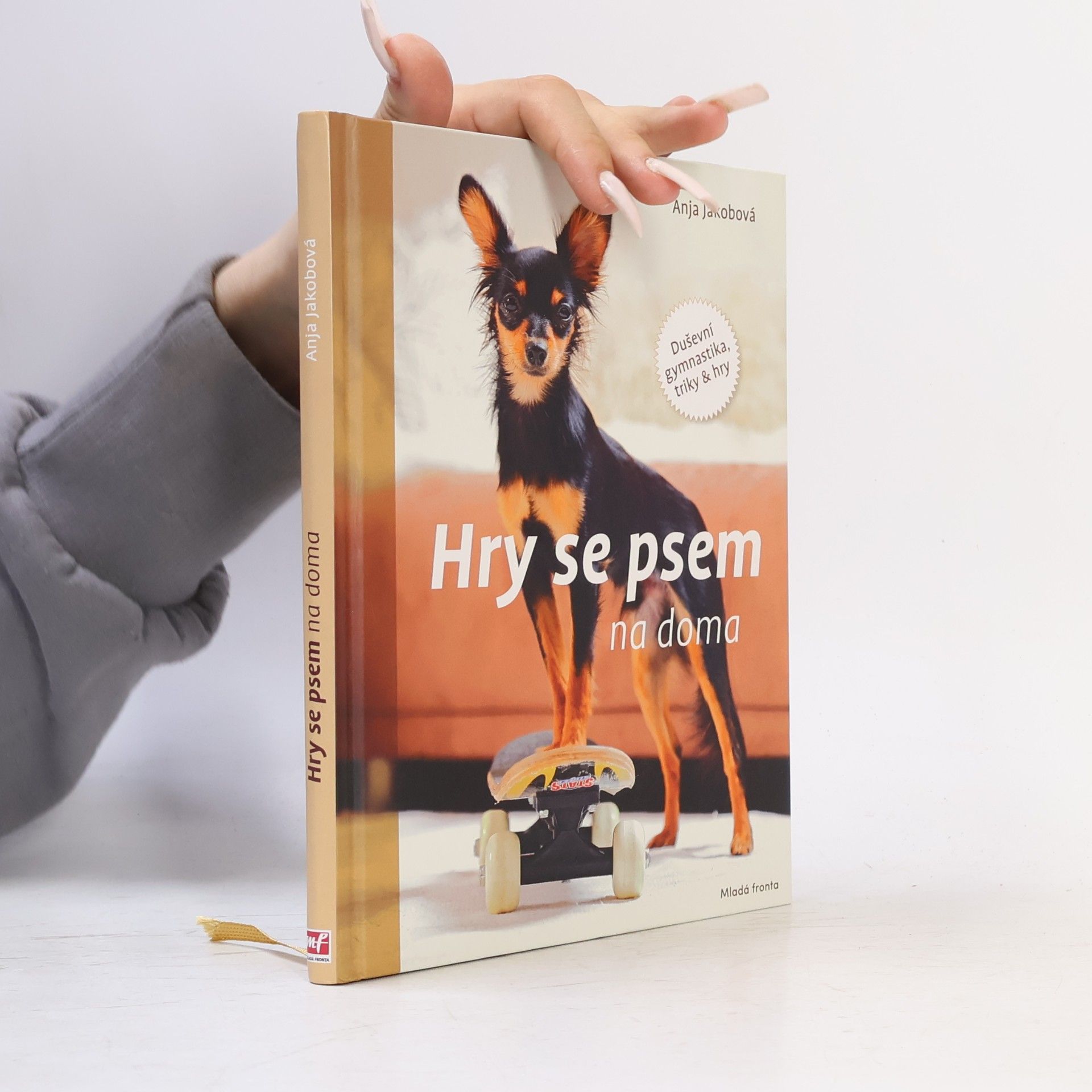 Hry se psem na doma: Duševní gymnastika, triky & hry