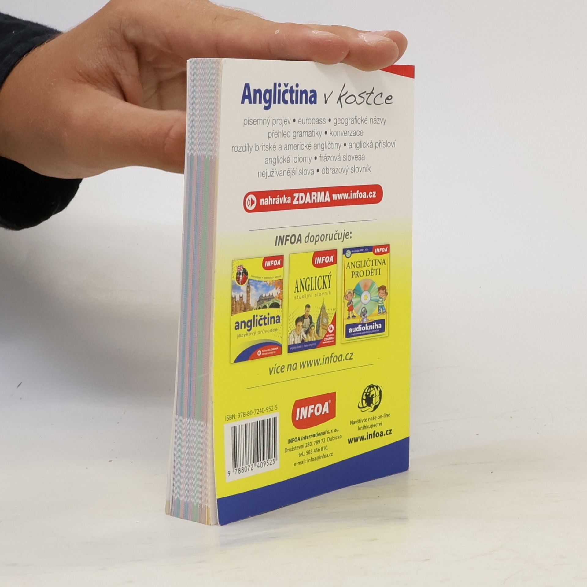 kolektiv Angličtina v kostce