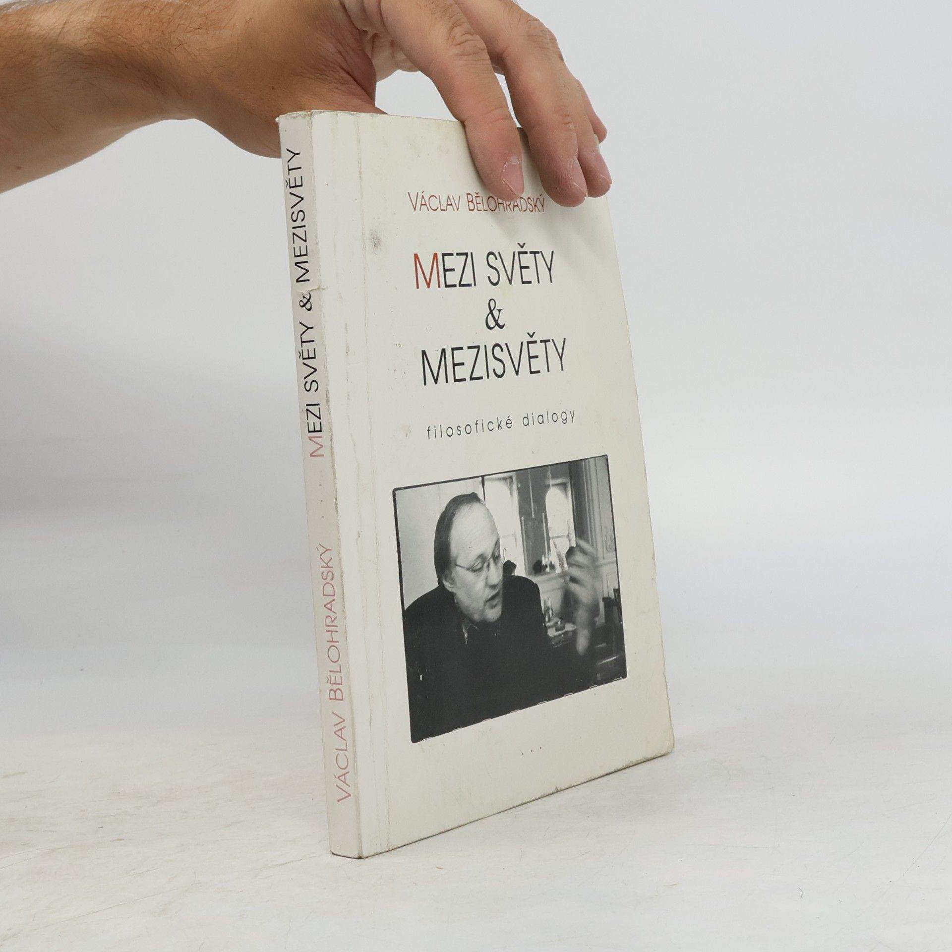 Mezi světy & mezisvěty. Filosofické dialogy